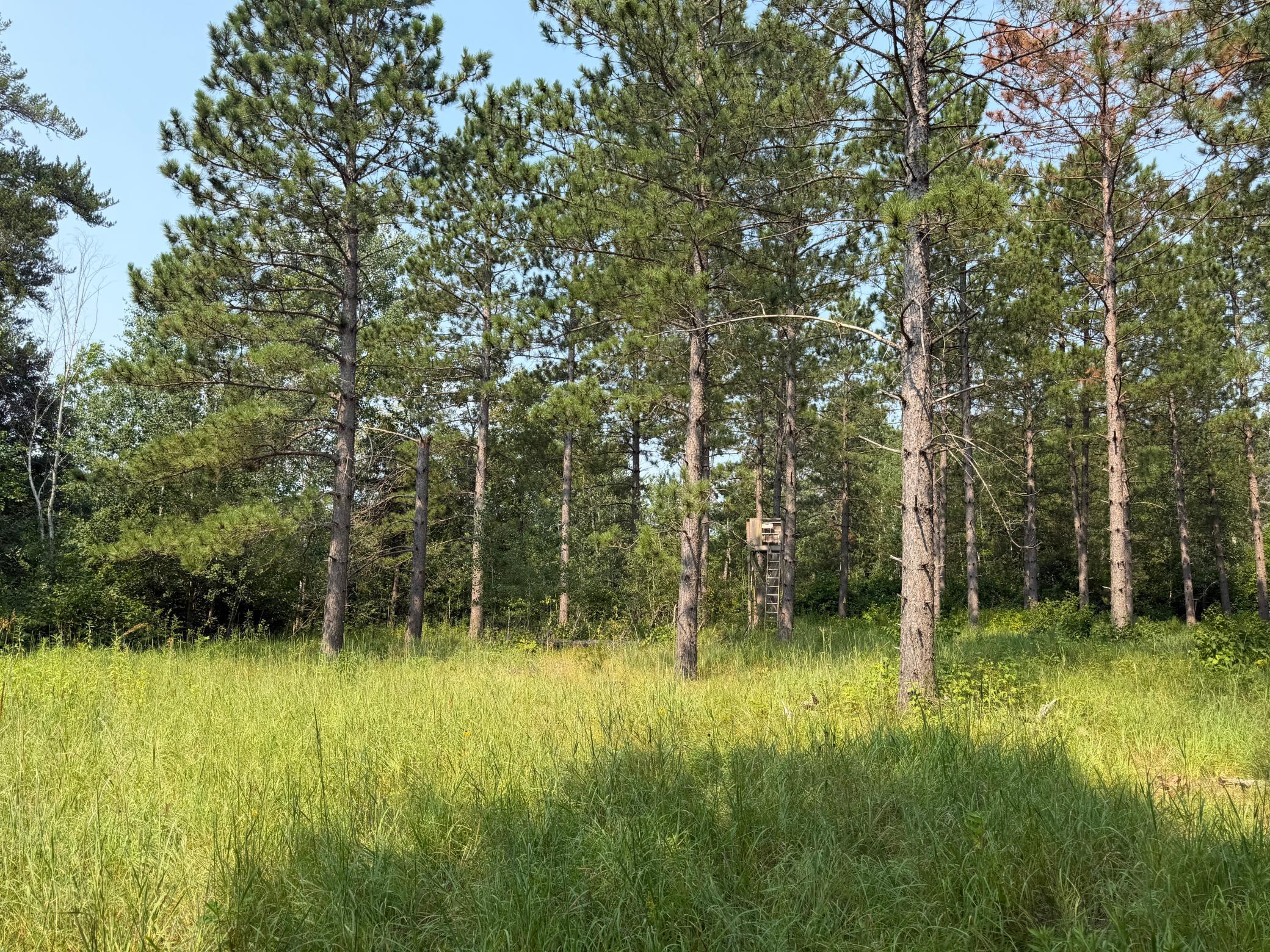 TBD Cottingham Drive, Staples MN 56479 - Photo 26 of 45