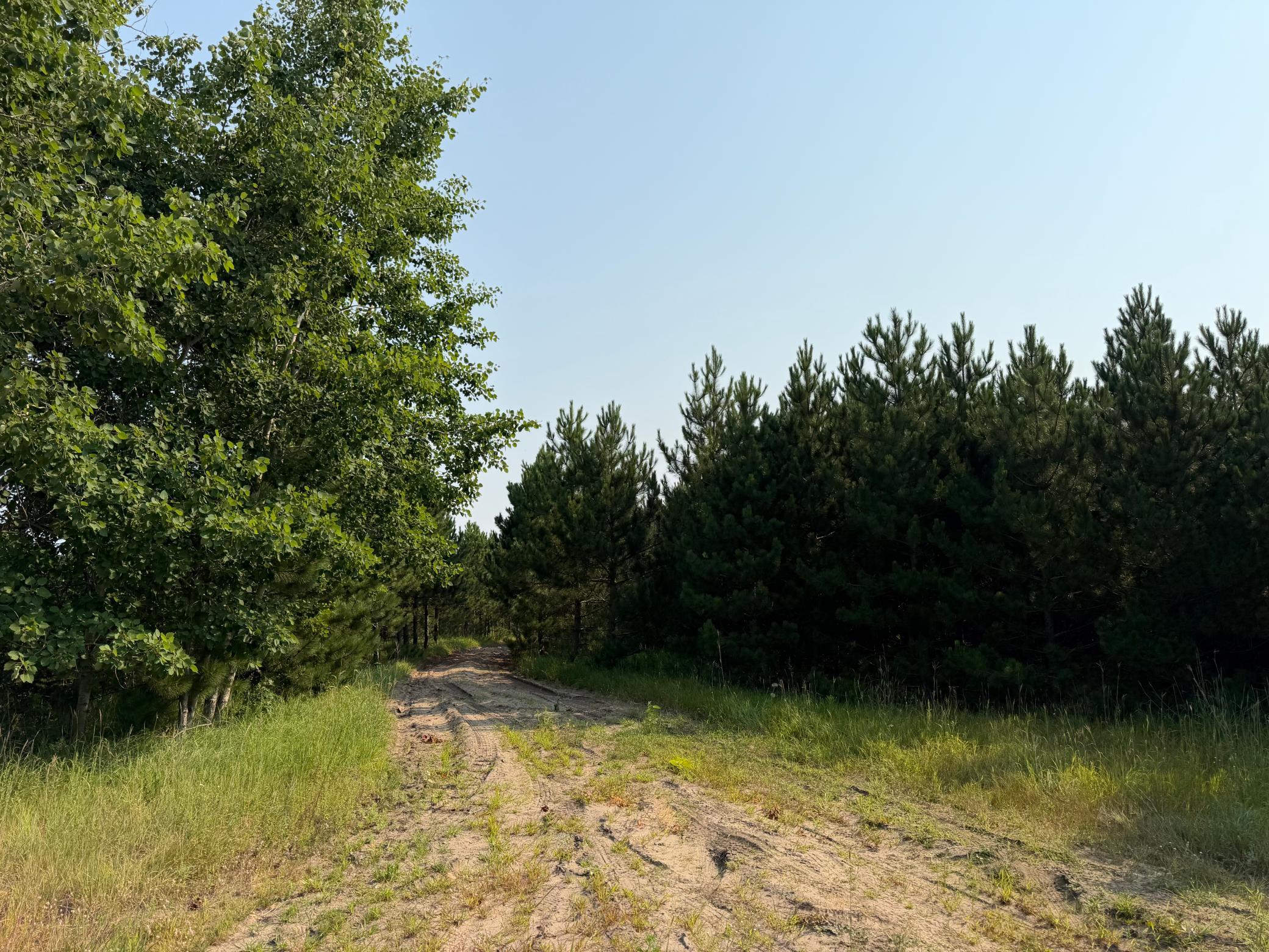 TBD Co Rd 7, Staples MN 56479 - Photo 26 of 73