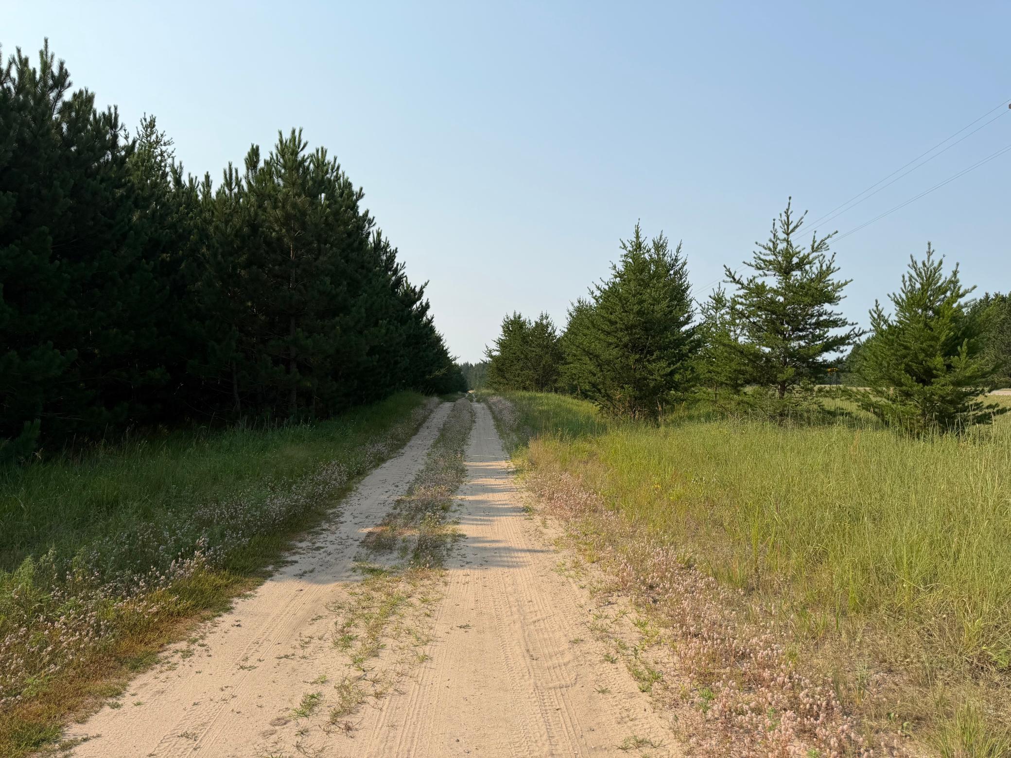 TBD Co Rd 7, Staples MN 56479 - Photo 27 of 73