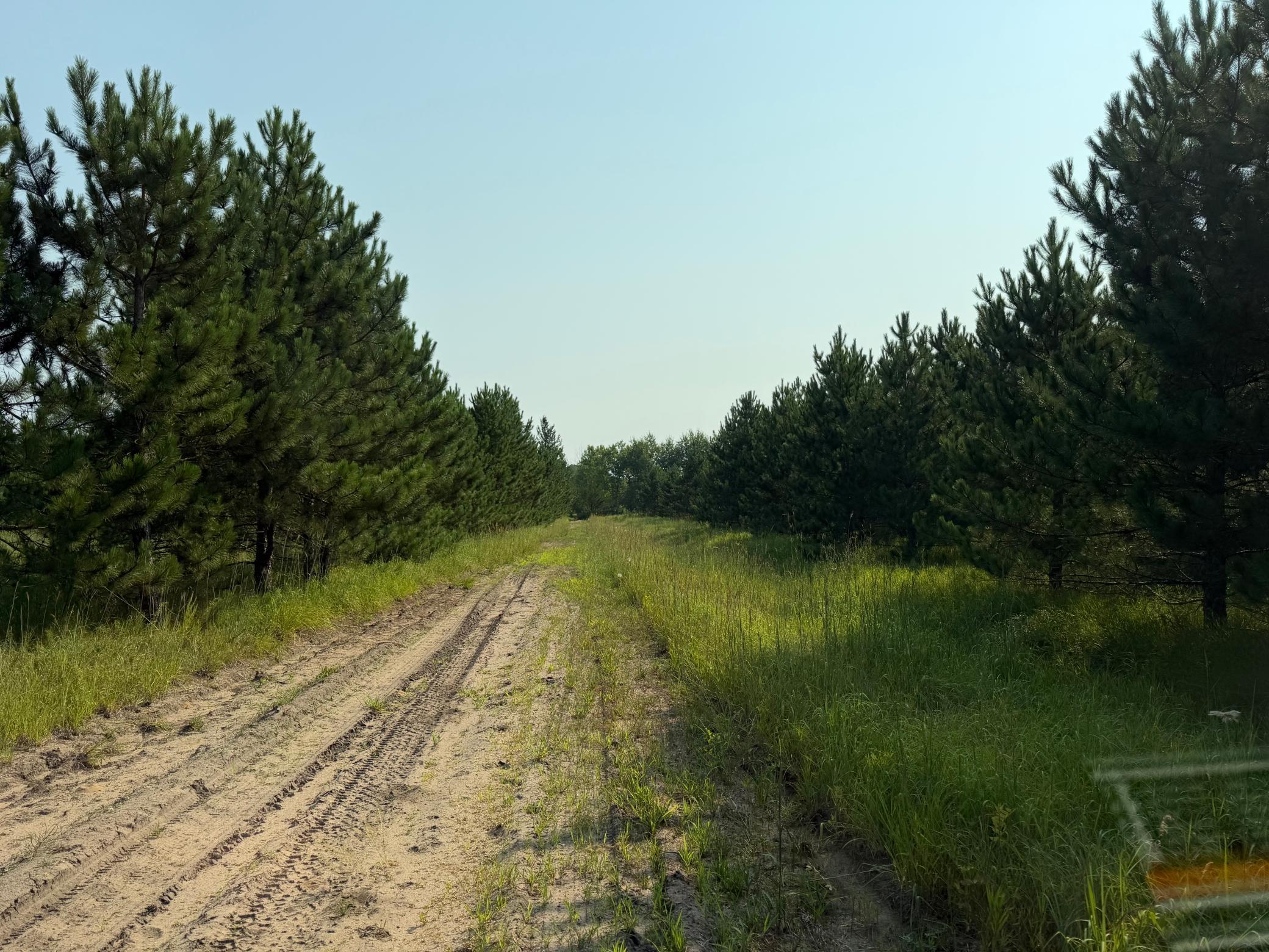 TBD Co Rd 7, Staples MN 56479 - Photo 29 of 73