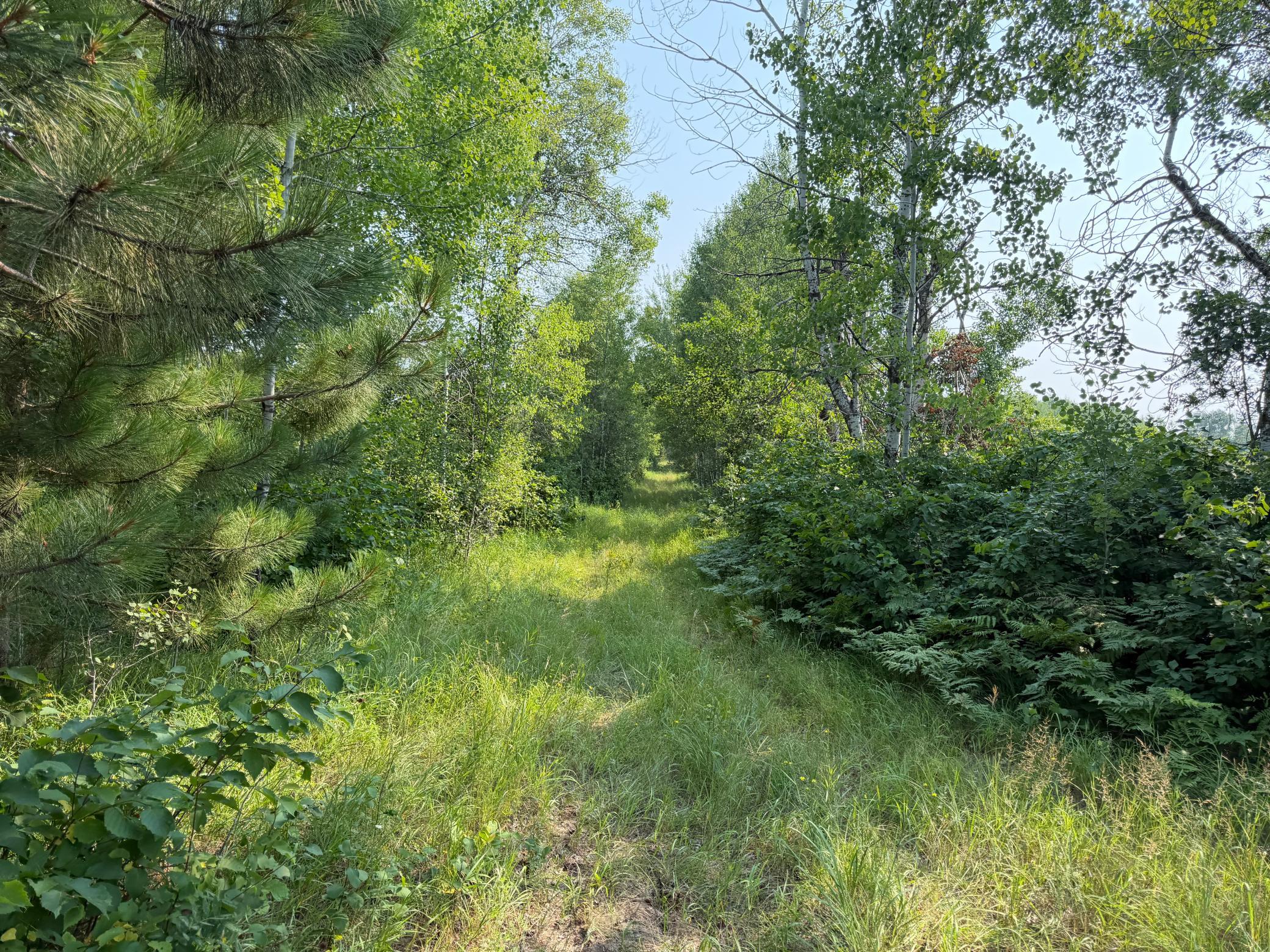 TBD Co Rd 7, Staples MN 56479 - Photo 35 of 73