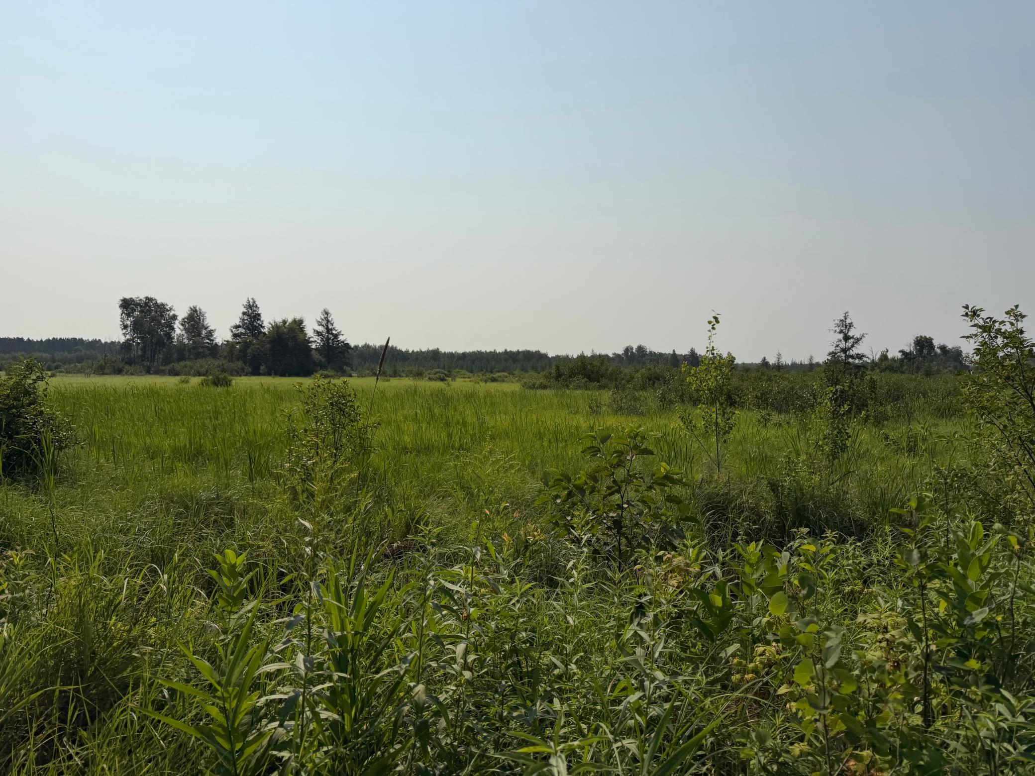 TBD Co Rd 7, Staples MN 56479 - Photo 36 of 73