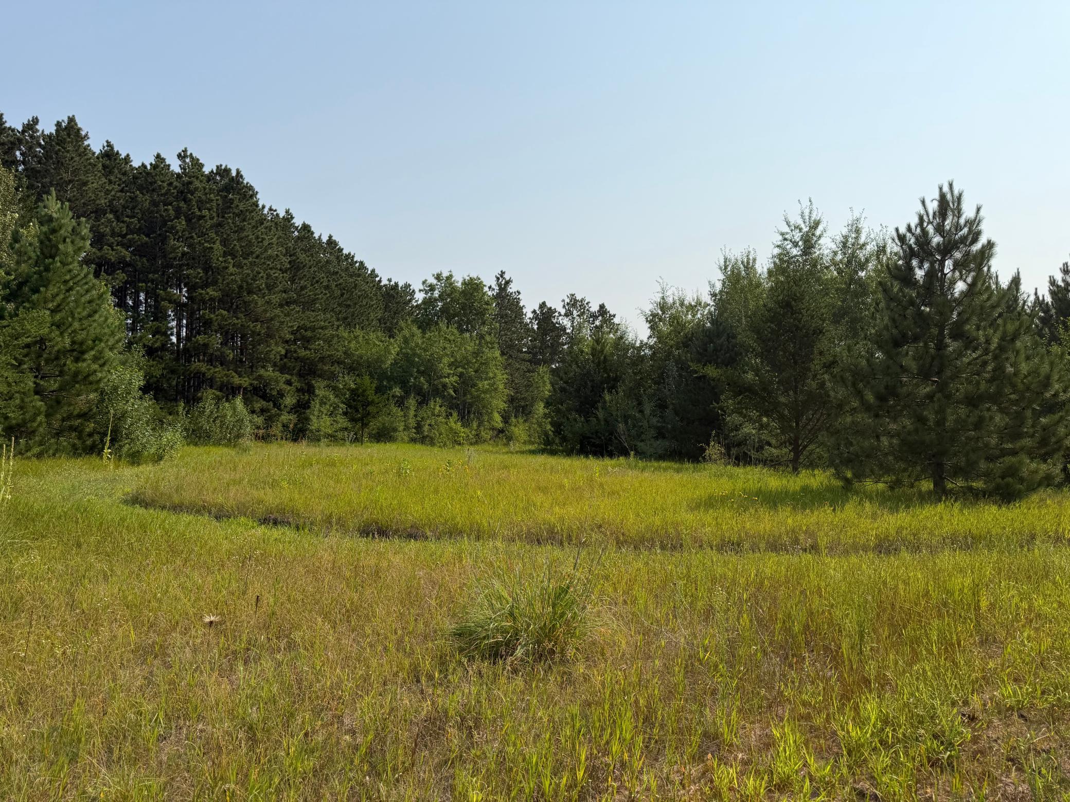 TBD Co Rd 7, Staples MN 56479 - Photo 41 of 73