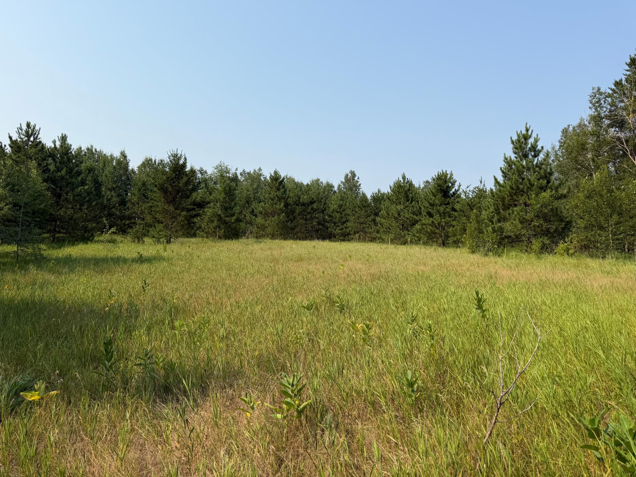 TBD Co Rd 7, Staples MN 56479 - Photo 42 of 73