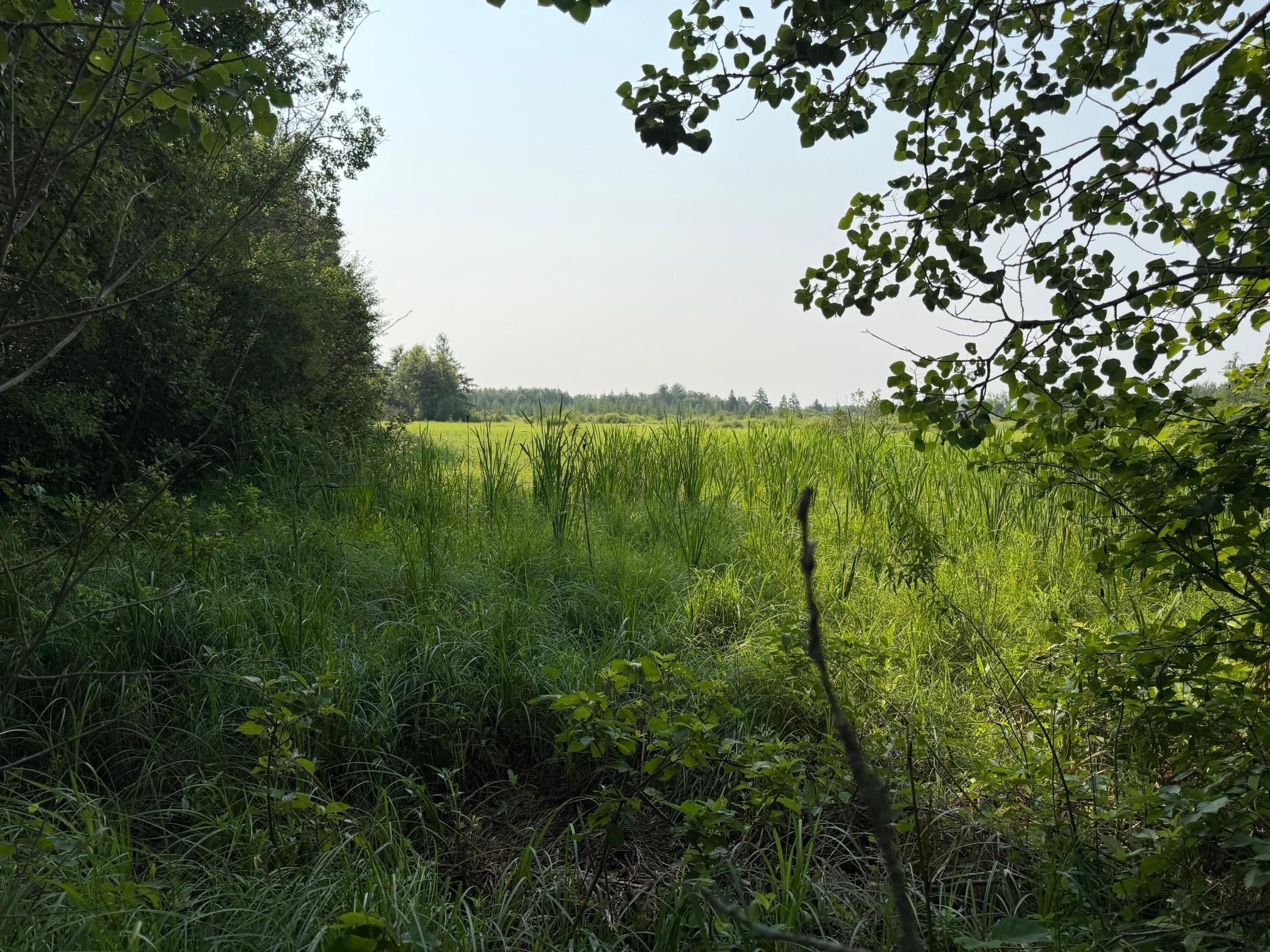 TBD Co Rd 7, Staples MN 56479 - Photo 43 of 73