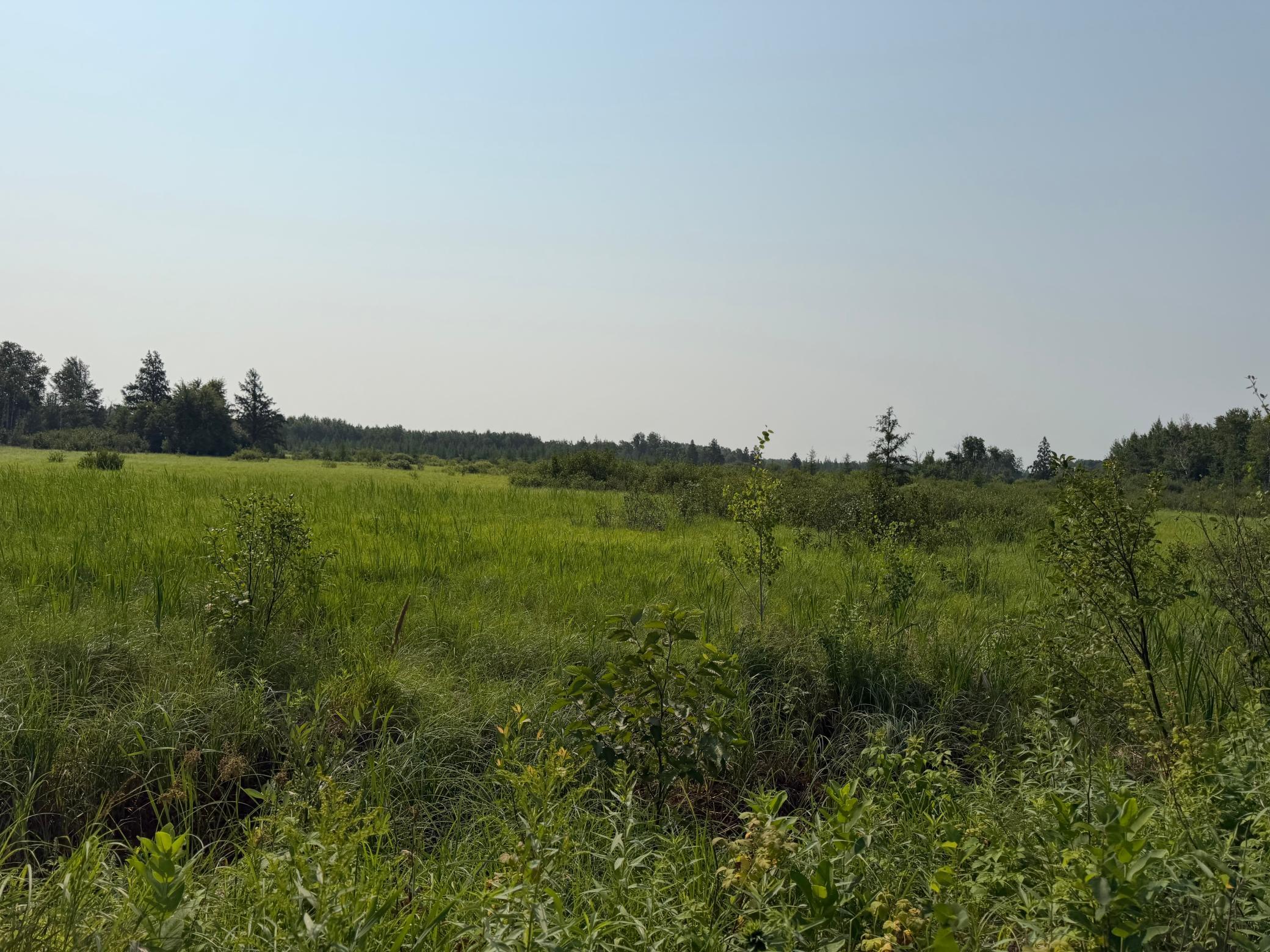 TBD Co Rd 7, Staples MN 56479 - Photo 44 of 73