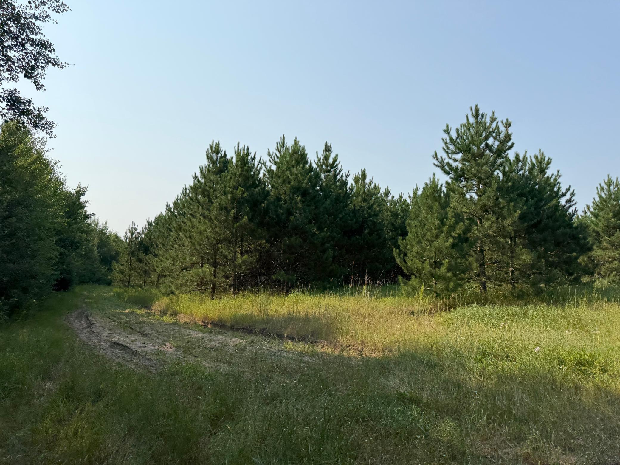 TBD Co Rd 7, Staples MN 56479 - Photo 45 of 73