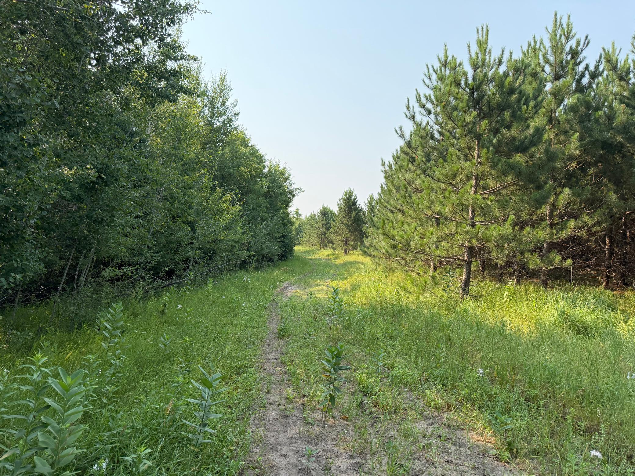 TBD Co Rd 7, Staples MN 56479 - Photo 46 of 73