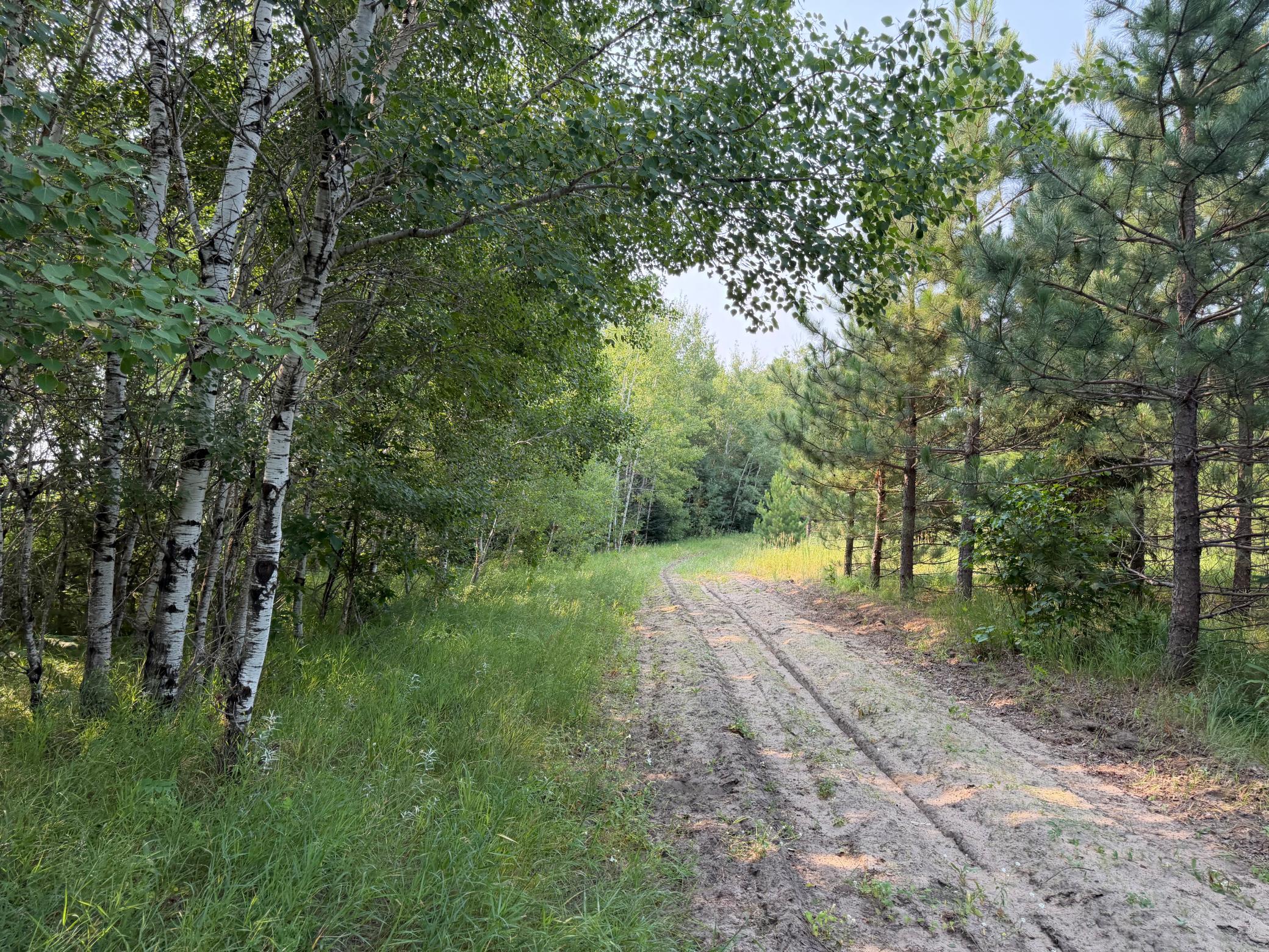 TBD Co Rd 7, Staples MN 56479 - Photo 48 of 73