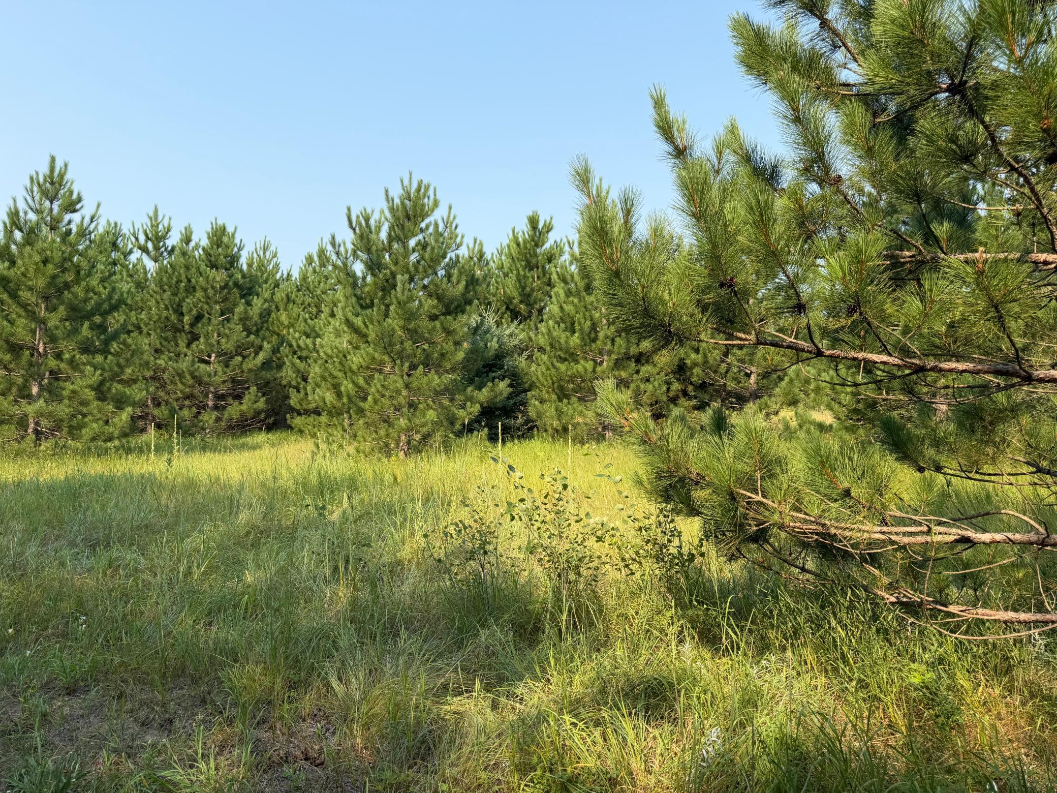 TBD Co Rd 7, Staples MN 56479 - Photo 49 of 73