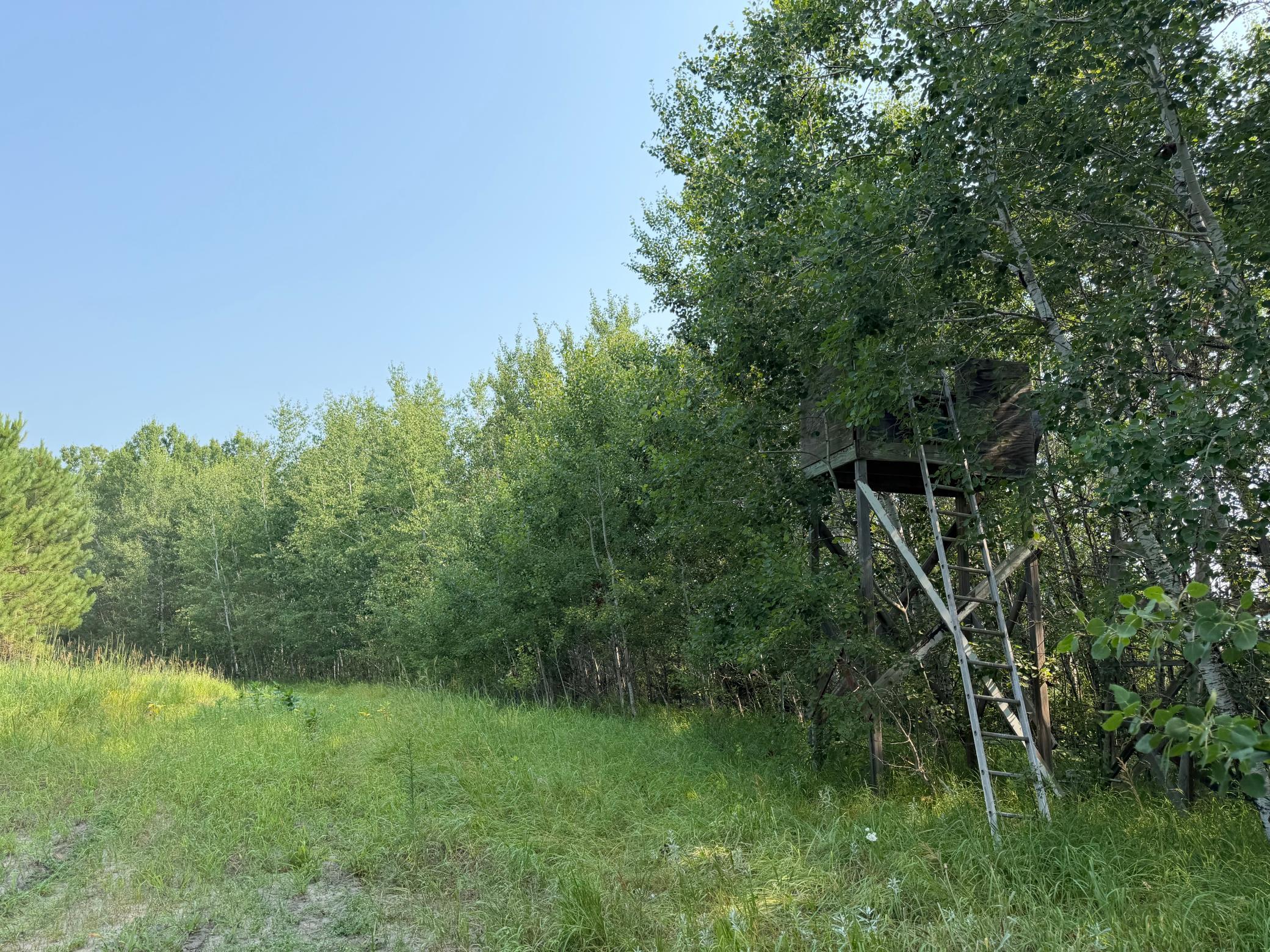 TBD Co Rd 7, Staples MN 56479 - Photo 51 of 73