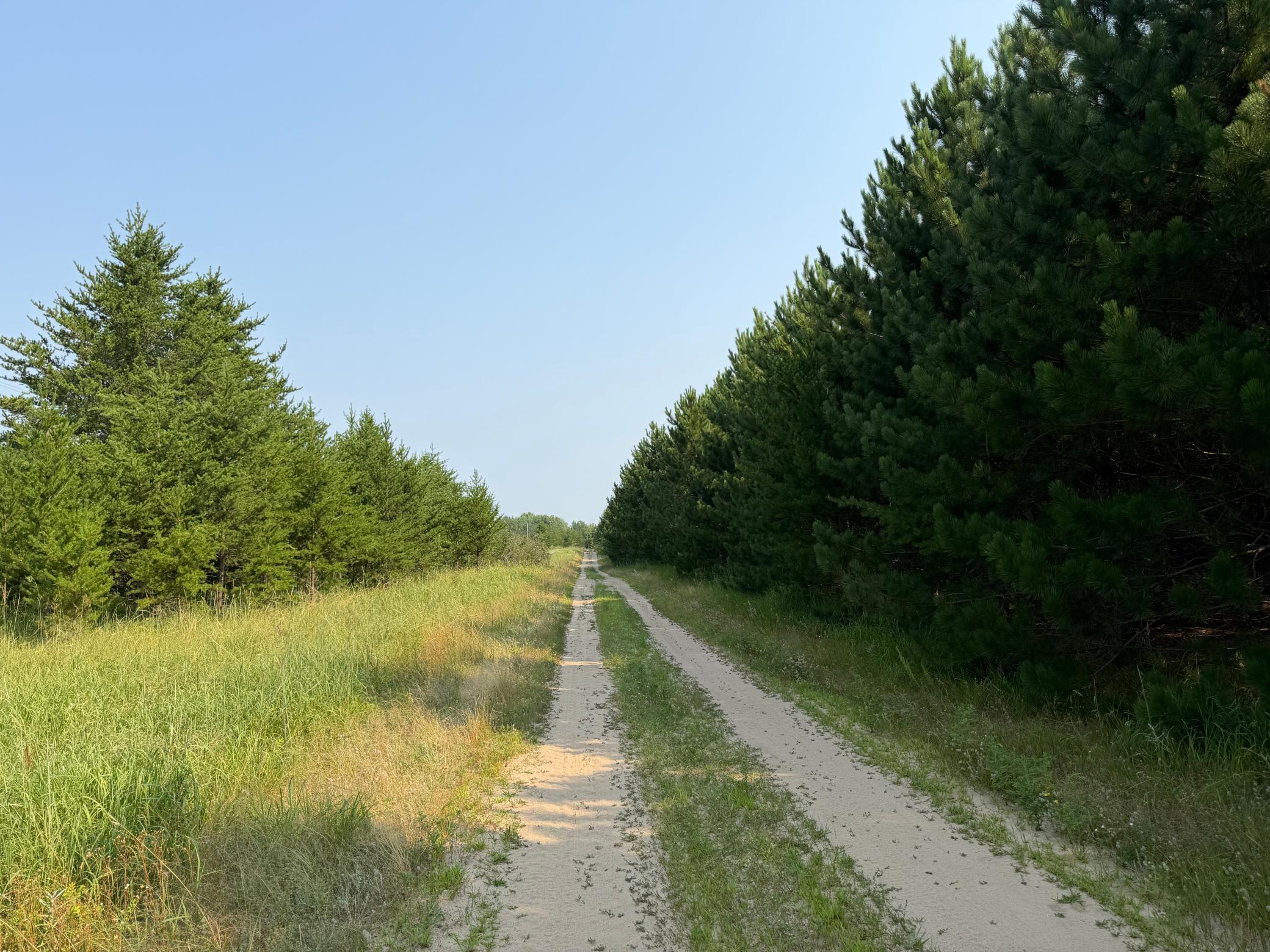 TBD Co Rd 7, Staples MN 56479 - Photo 56 of 73