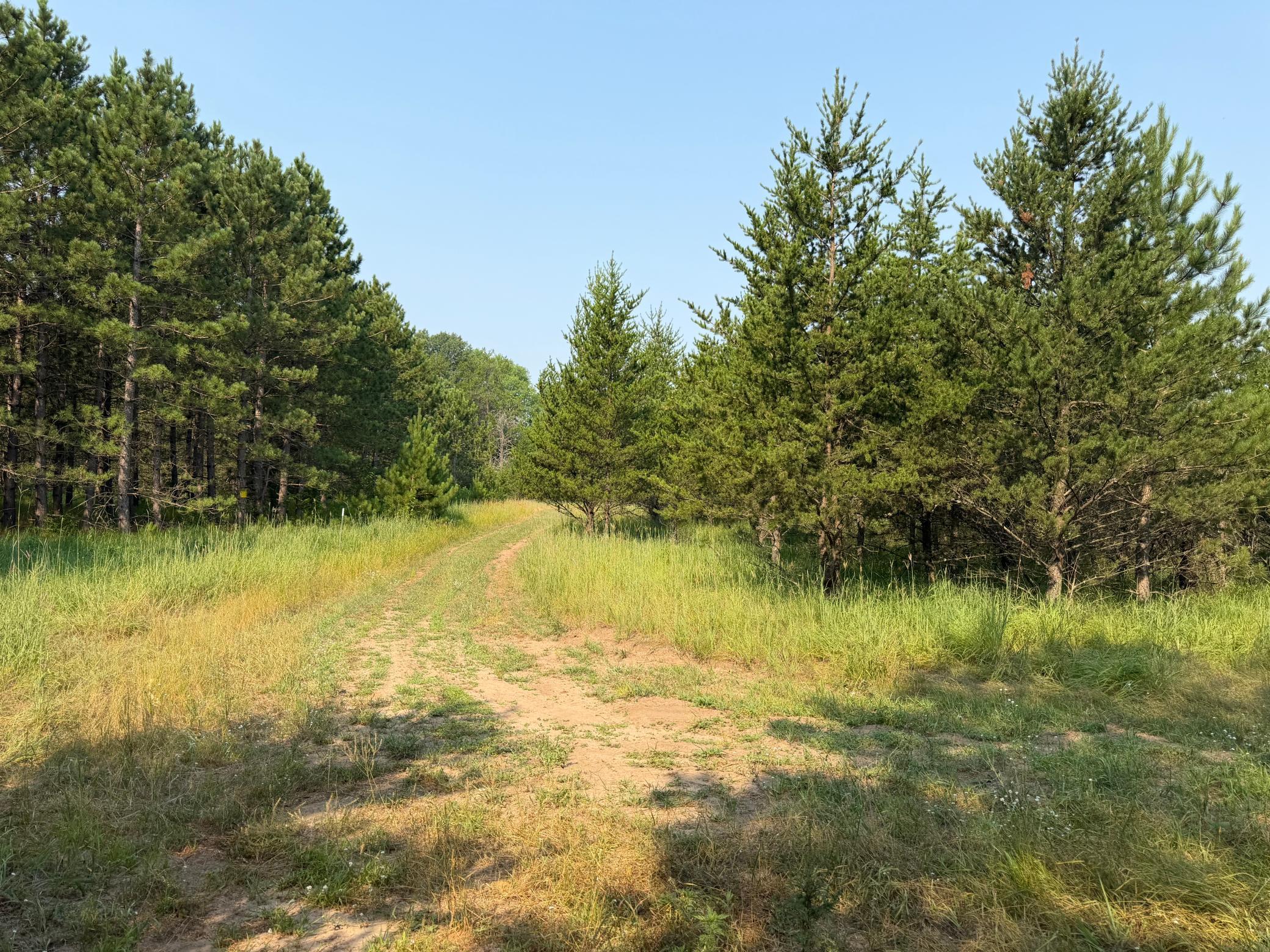 TBD Co Rd 7, Staples MN 56479 - Photo 57 of 73