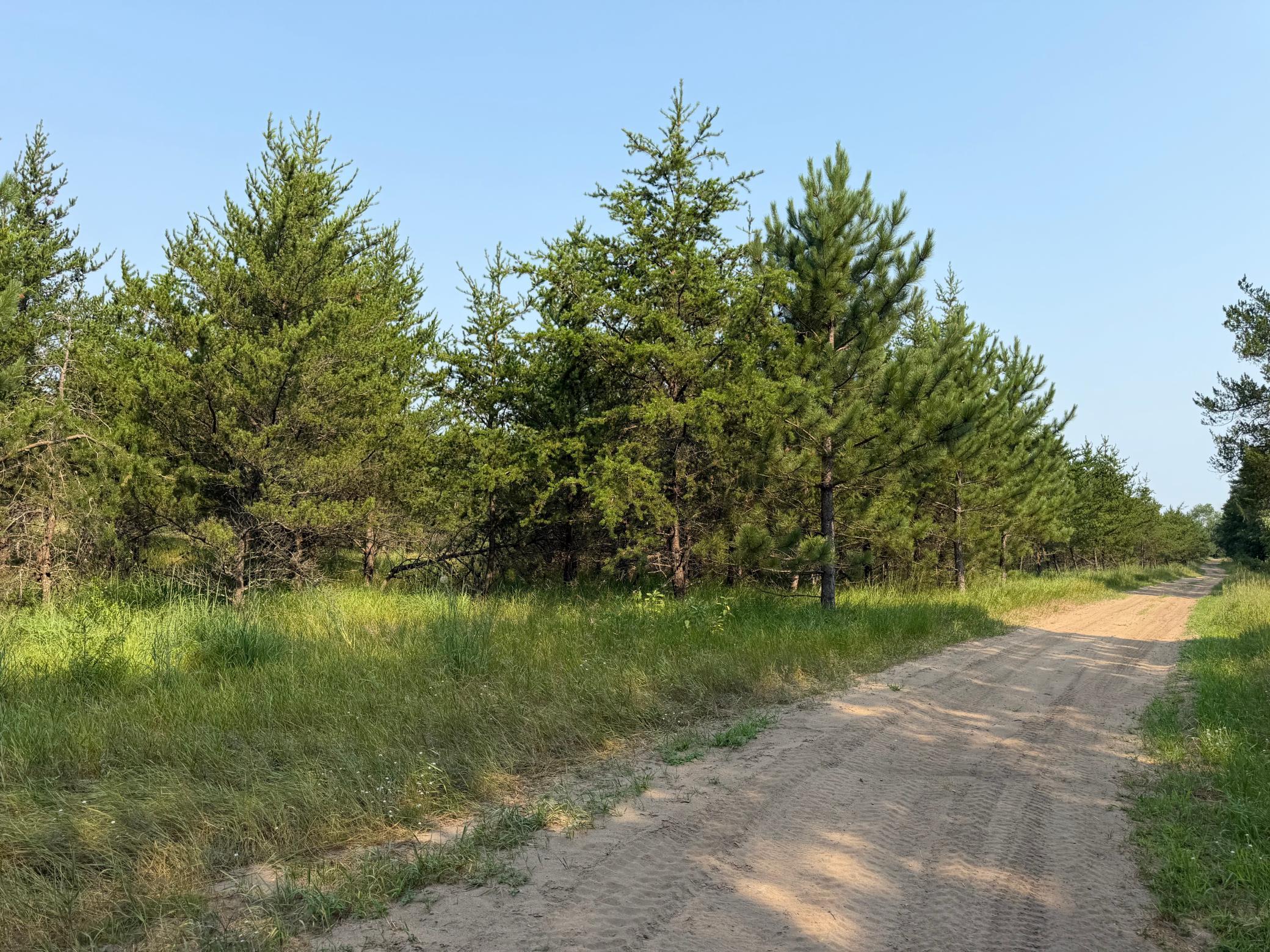 TBD Co Rd 7, Staples MN 56479 - Photo 58 of 73