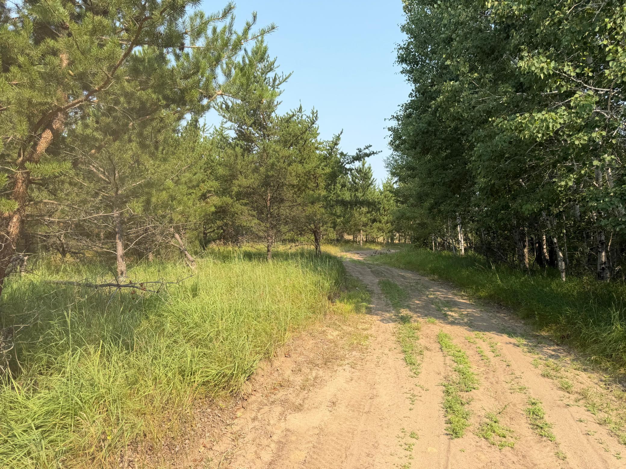 TBD Co Rd 7, Staples MN 56479 - Photo 60 of 73