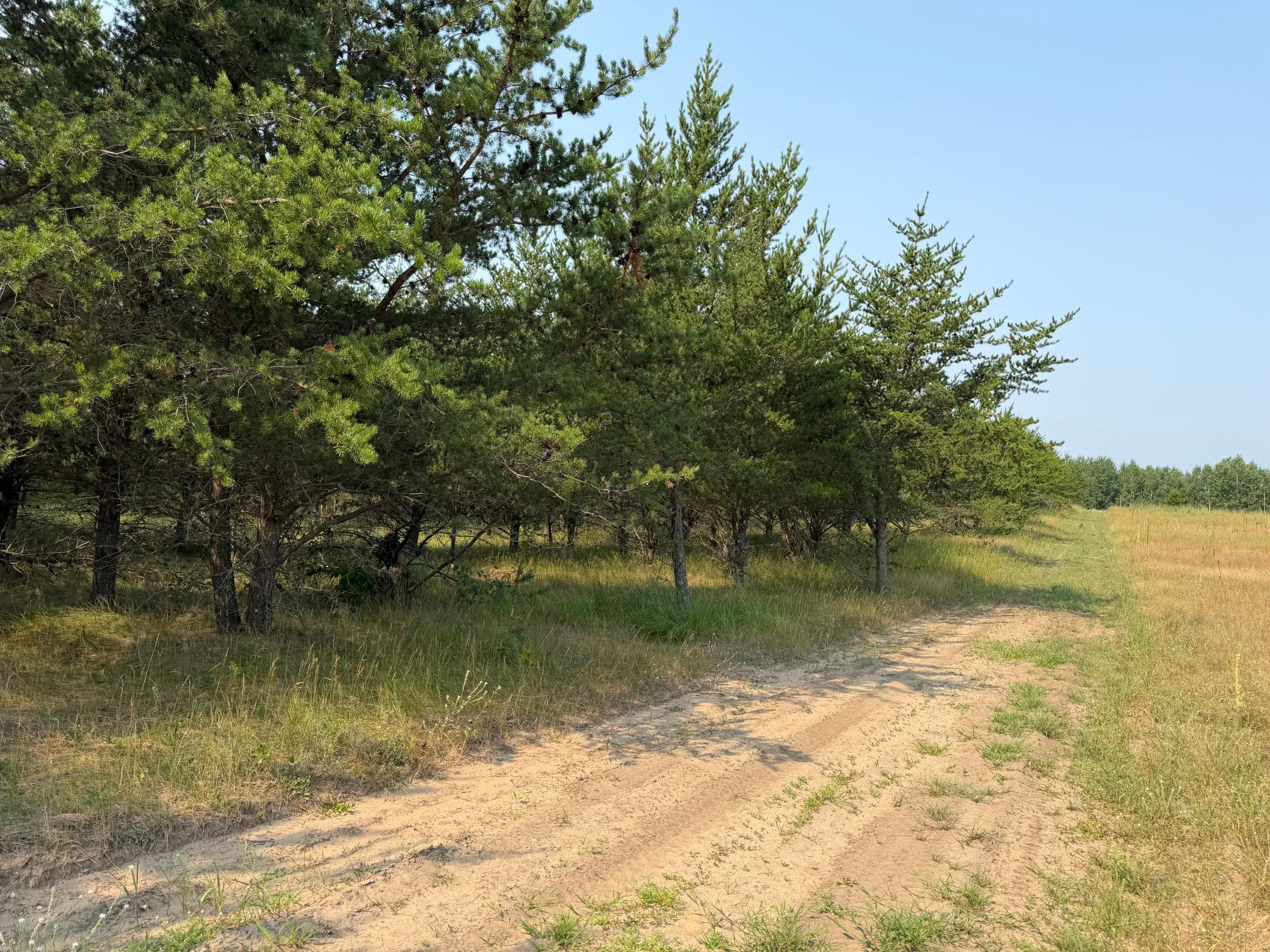 TBD Co Rd 7, Staples MN 56479 - Photo 61 of 73
