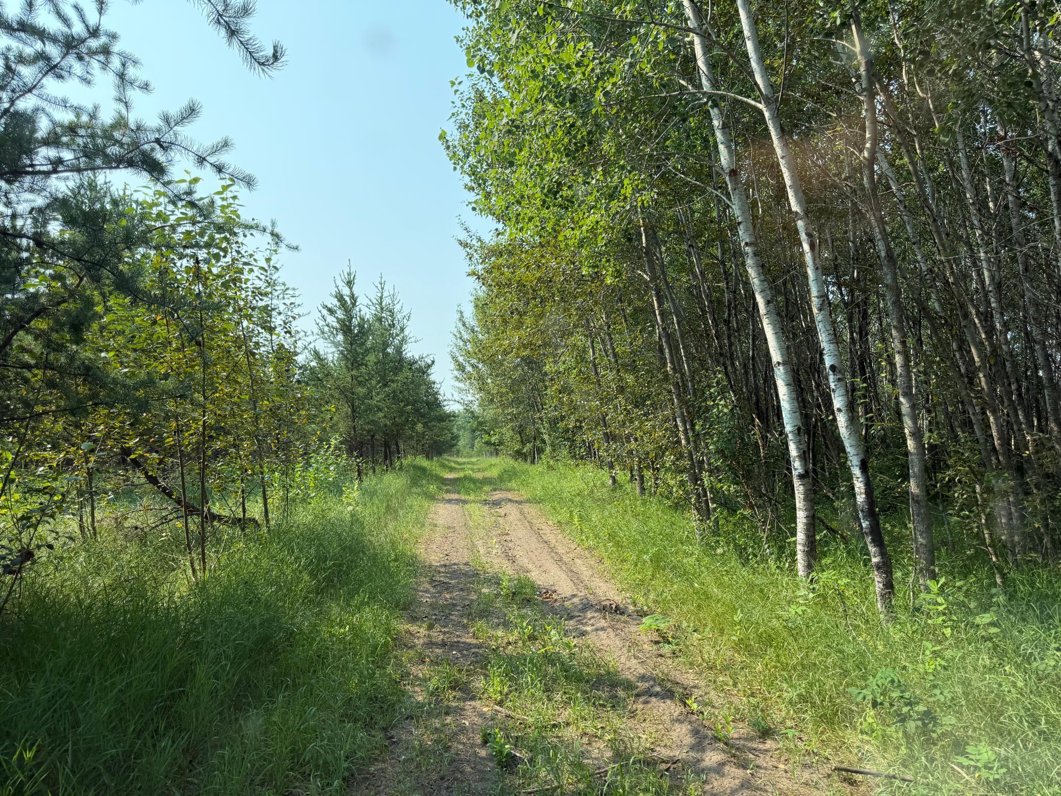 TBD Co Rd 7, Staples MN 56479 - Photo 62 of 73