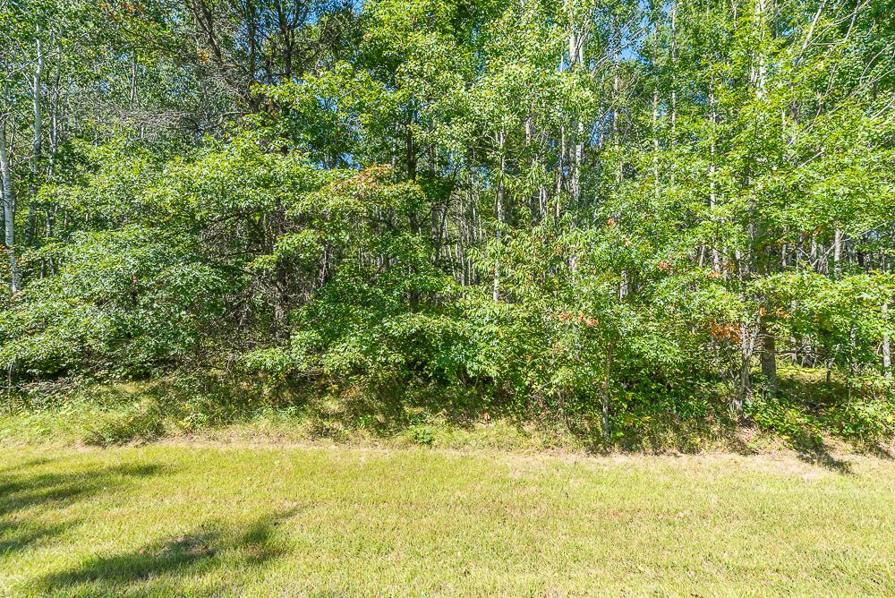 Tract A TBD Little Pine Road, Brainerd MN 56401 - Photo 12 of 23