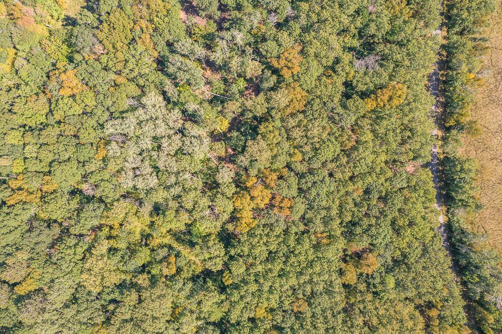 Tract A TBD Little Pine Road, Brainerd MN 56401 - Photo 16 of 23