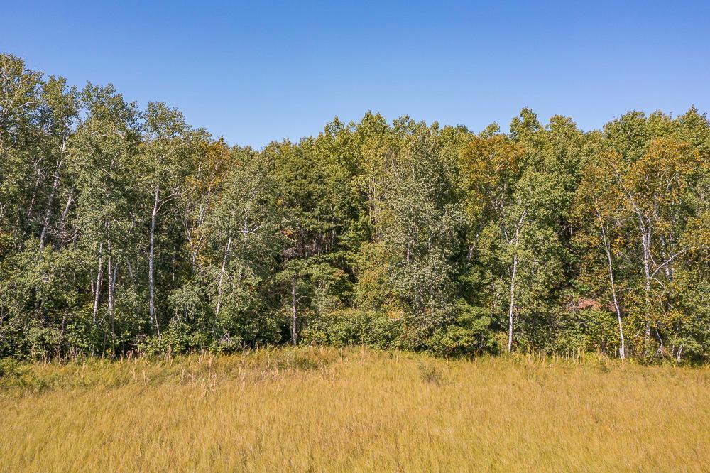Tract A TBD Little Pine Road, Brainerd MN 56401 - Photo 21 of 23