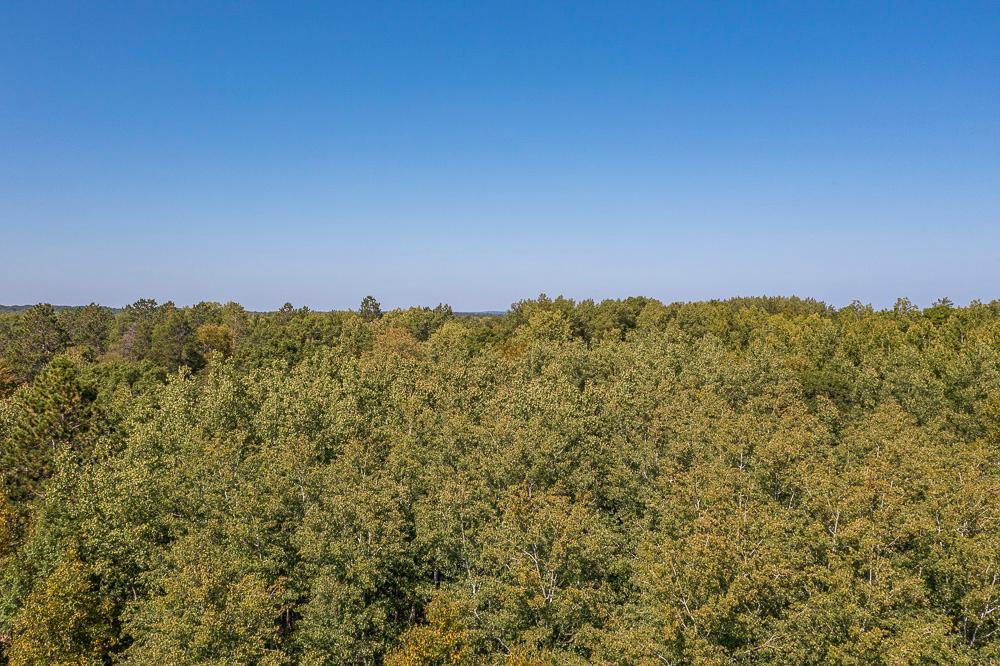 Tract A TBD Little Pine Road, Brainerd MN 56401 - Photo 23 of 23