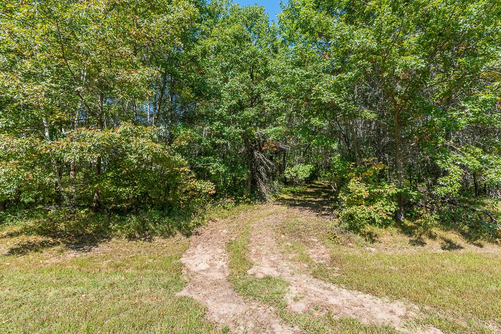 Tract A TBD Little Pine Road, Brainerd MN 56401 - Photo 5 of 23