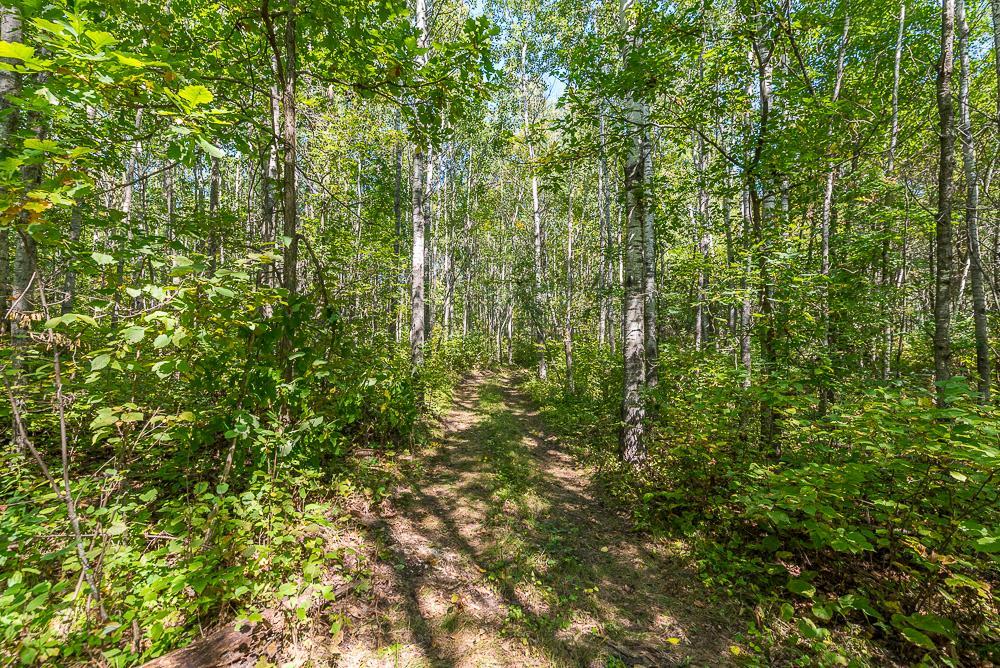 Tract A TBD Little Pine Road, Brainerd MN 56401 - Photo 7 of 23