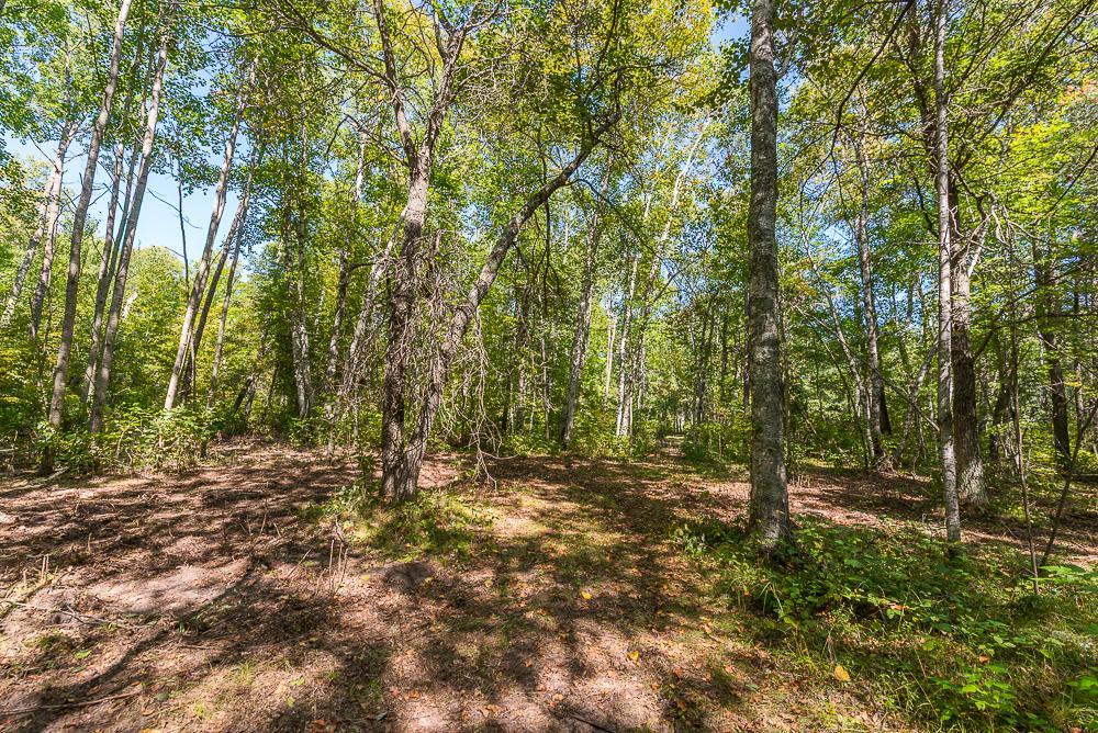 Tract A TBD Little Pine Road, Brainerd MN 56401 - Photo 9 of 23