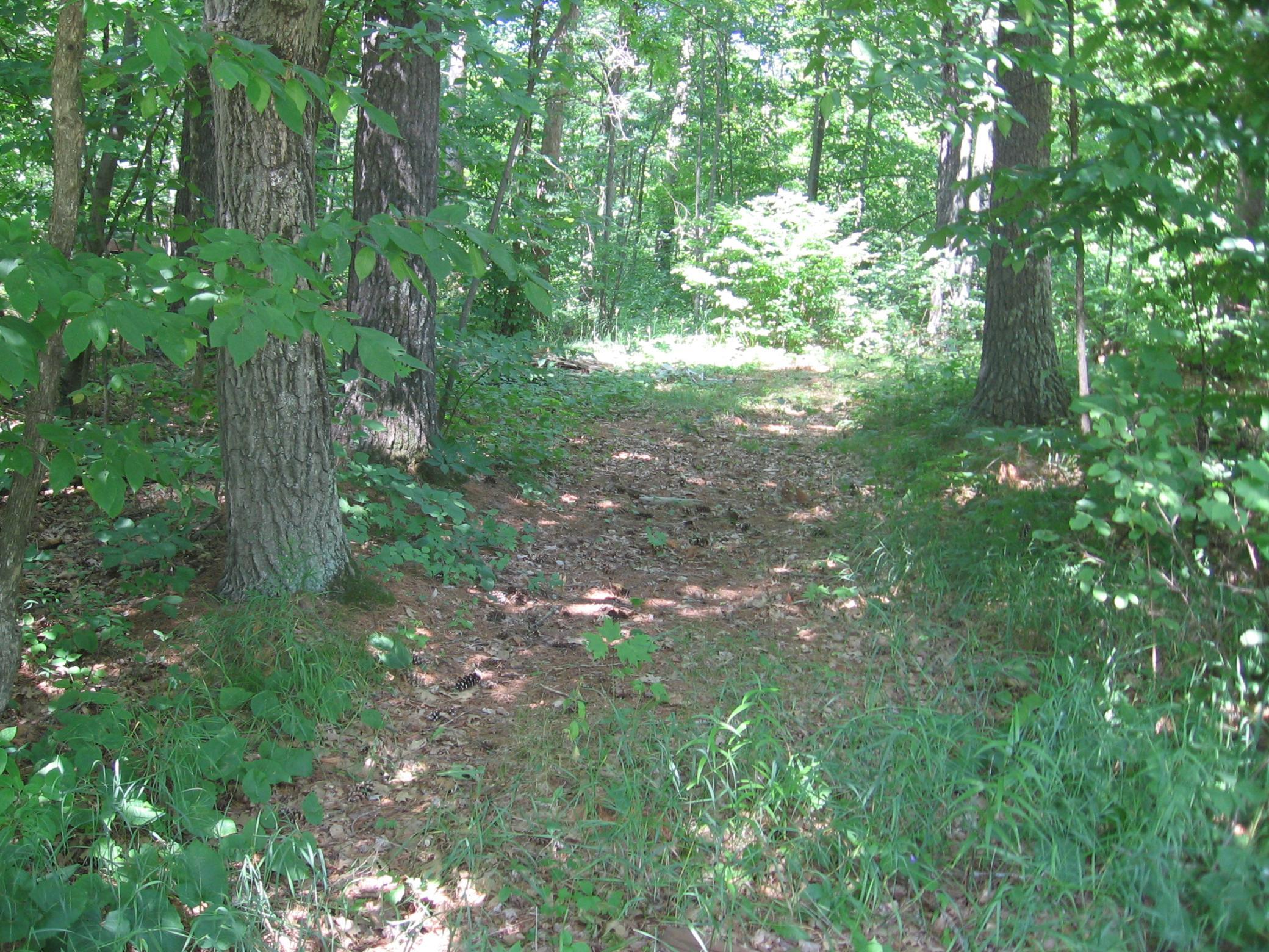 TBD County 5 NW, Hackensack MN 56452 - Photo 2 of 32