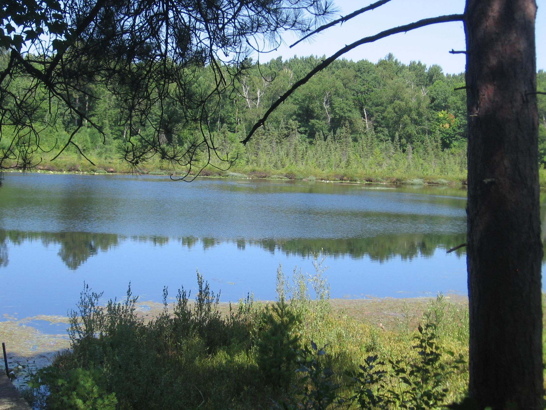 TBD County 5 NW, Hackensack MN 56452 - Photo 13 of 32
