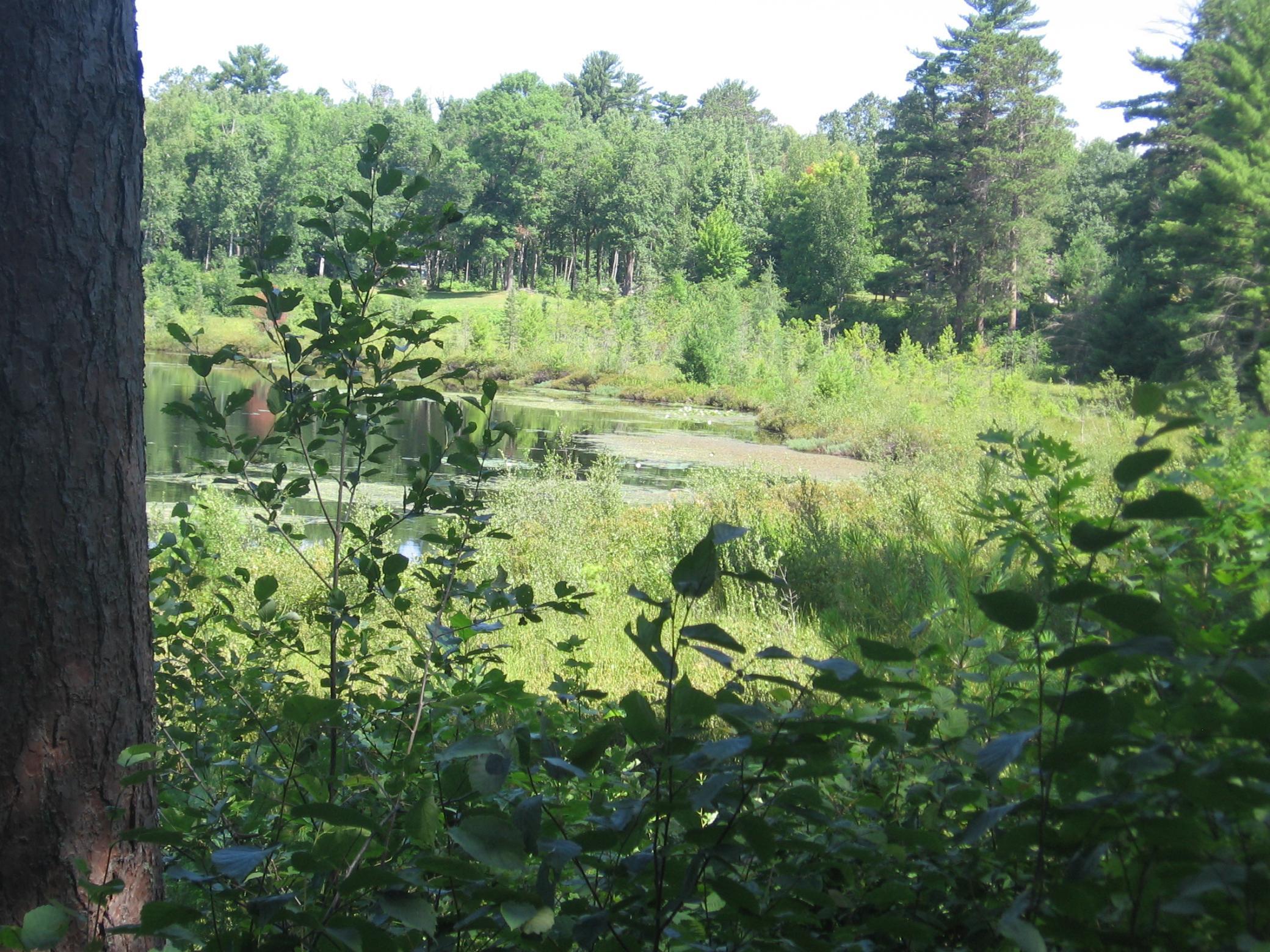 TBD County 5 NW, Hackensack MN 56452 - Photo 16 of 32