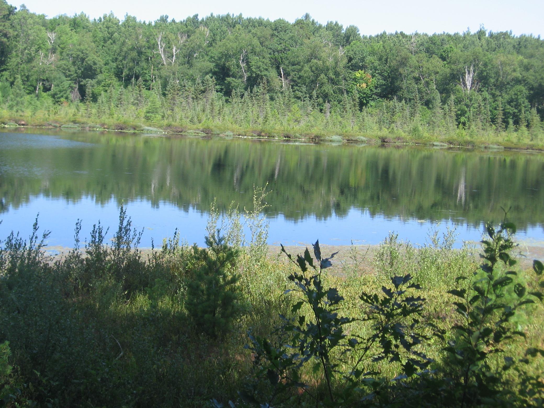 TBD County 5 NW, Hackensack MN 56452 - Photo 17 of 32