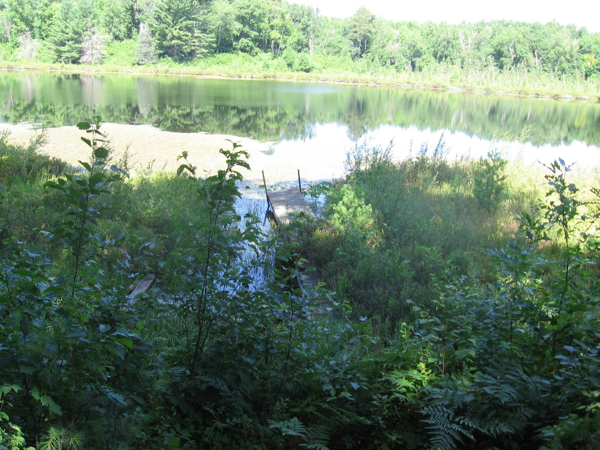 TBD County 5 NW, Hackensack MN 56452 - Photo 19 of 32