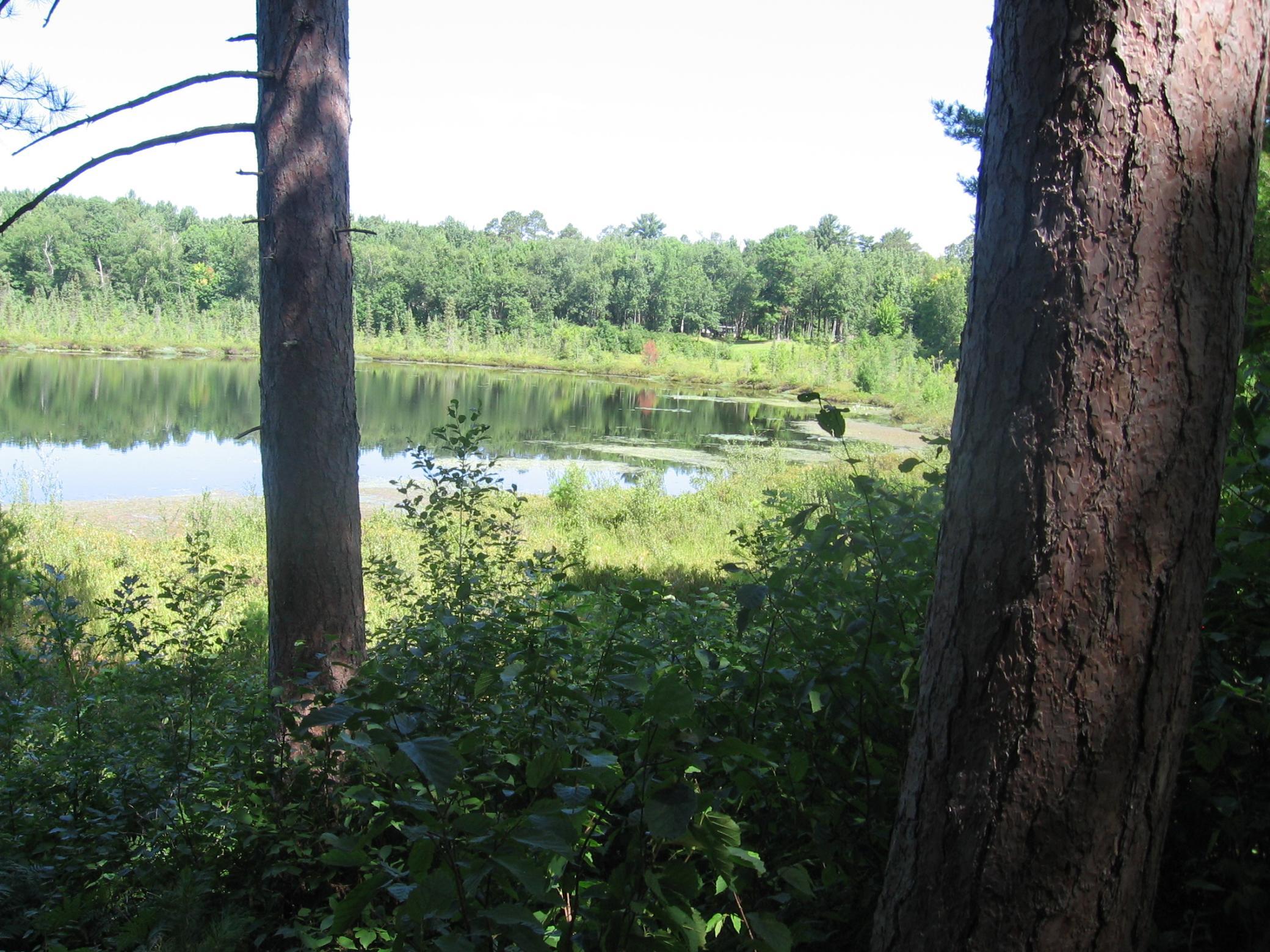 TBD County 5 NW, Hackensack MN 56452 - Photo 20 of 32