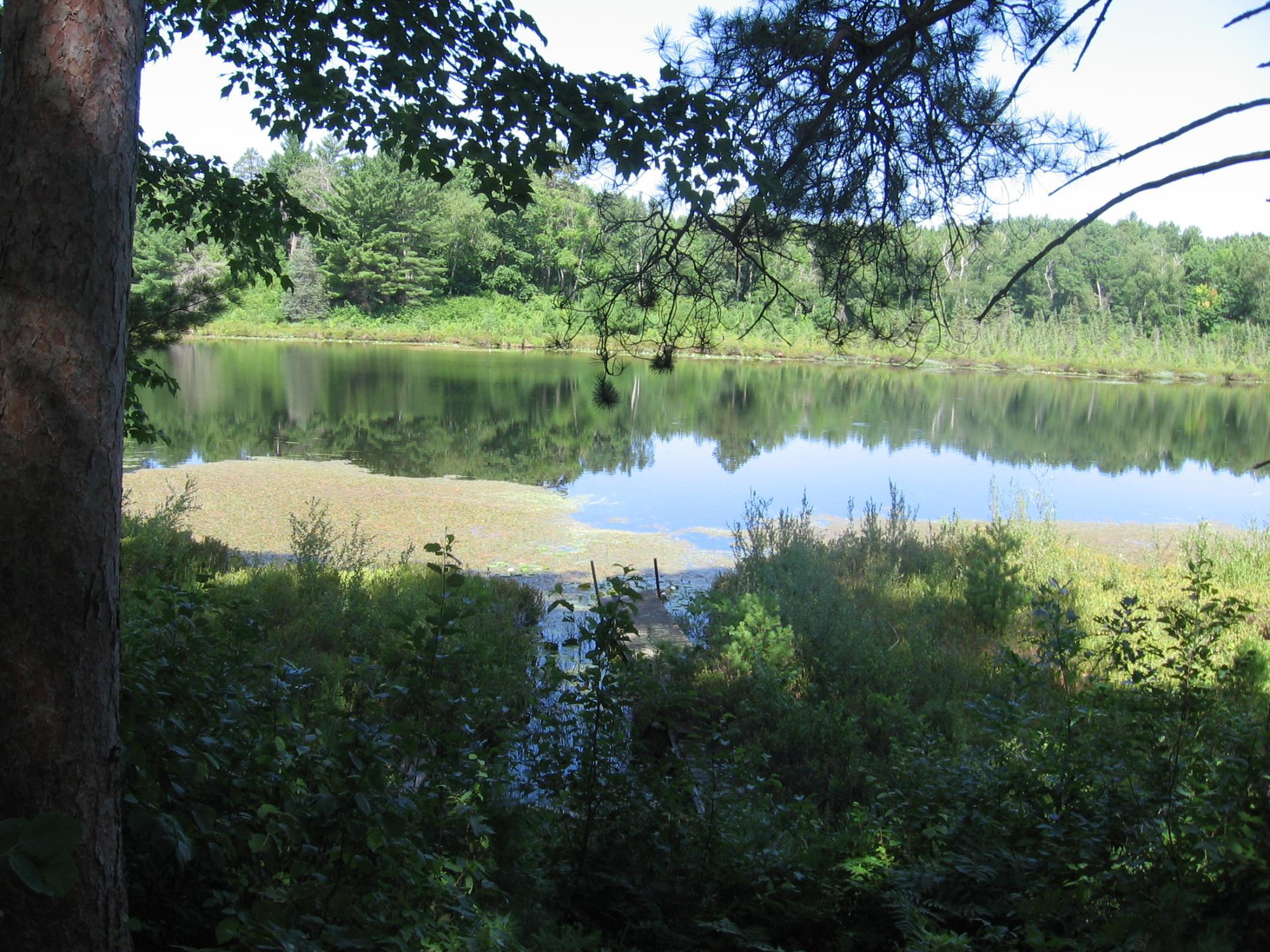TBD County 5 NW, Hackensack MN 56452 - Photo 21 of 32