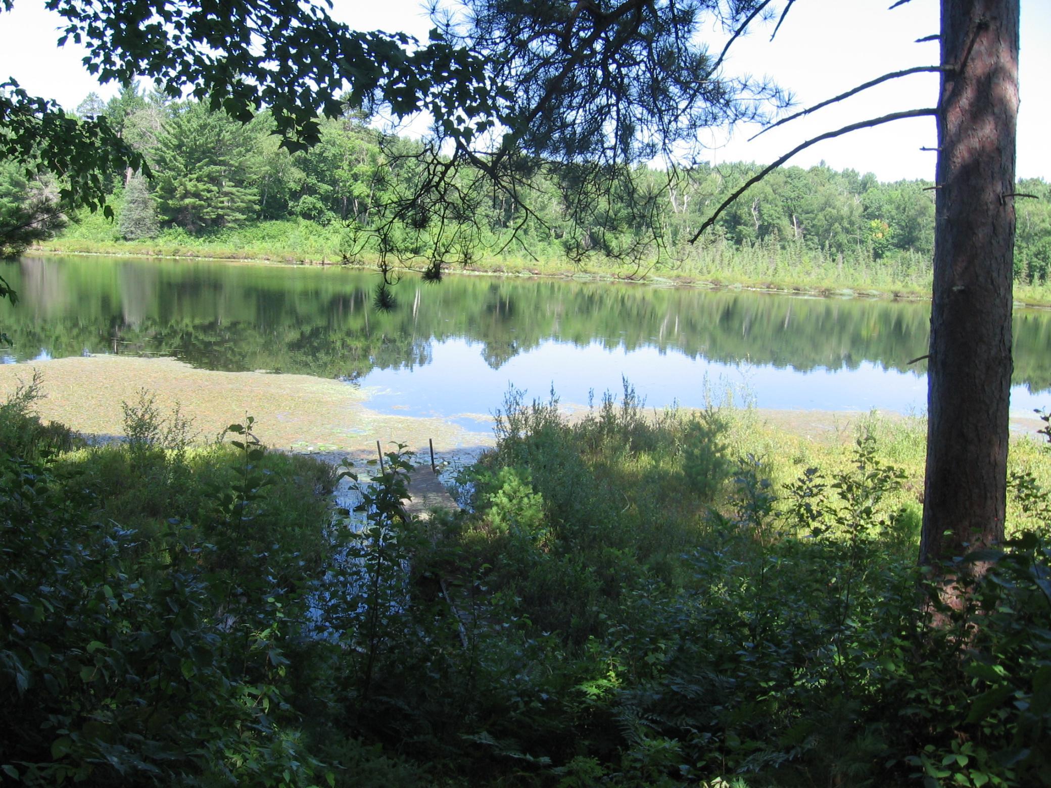 TBD County 5 NW, Hackensack MN 56452 - Photo 22 of 32