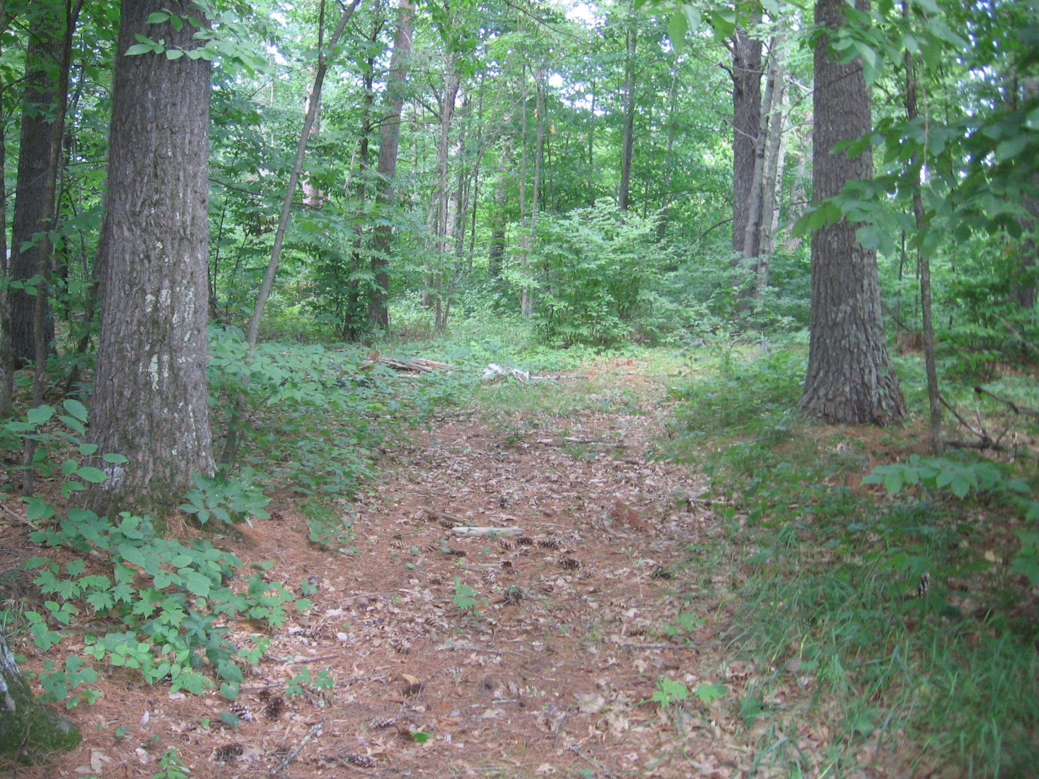 TBD County 5 NW, Hackensack MN 56452 - Photo 29 of 32