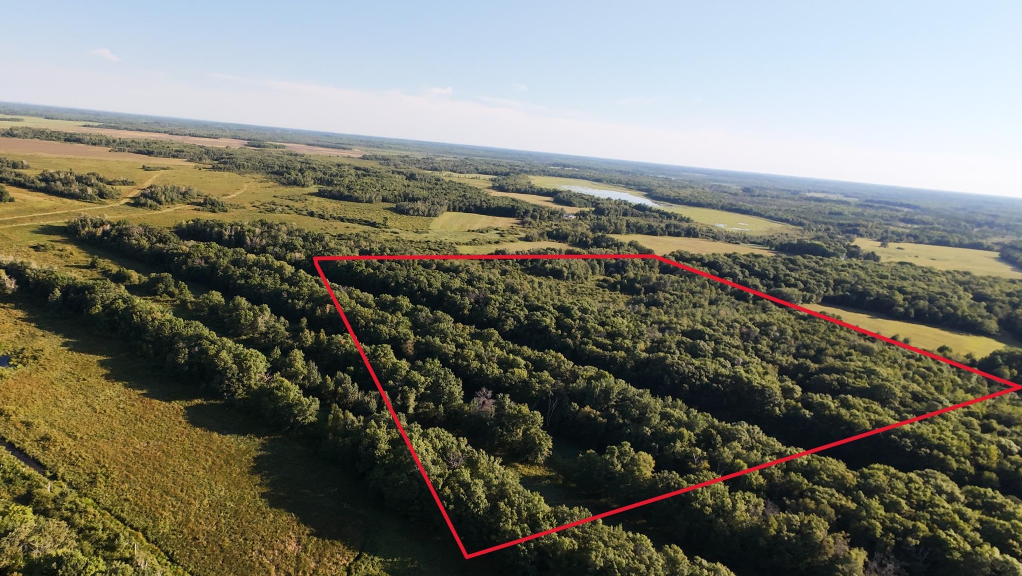 TBD 235th Lane, Aitkin MN 56431 - Photo 5 of 5