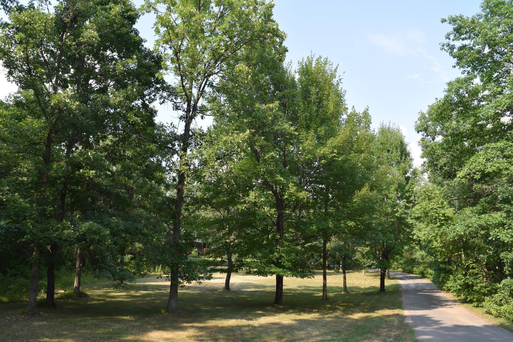 2002 single family home for sale at 940 134th Street SW in Pillager, MN — 4 bed, 4 bath (photo 3 of 22)