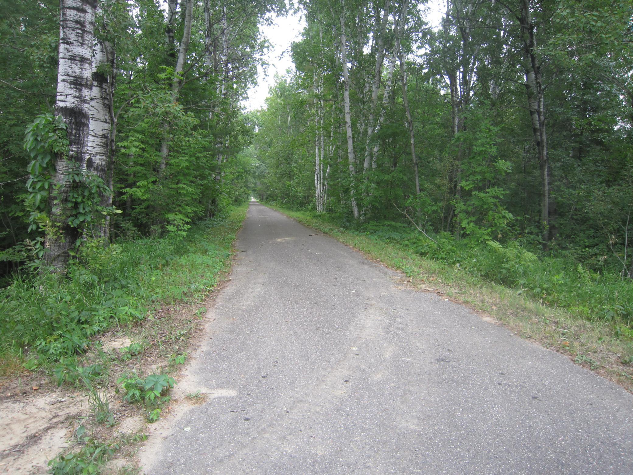 land for sale at XX State Hwy 371 in Laporte, MN (photo 4 of 9)