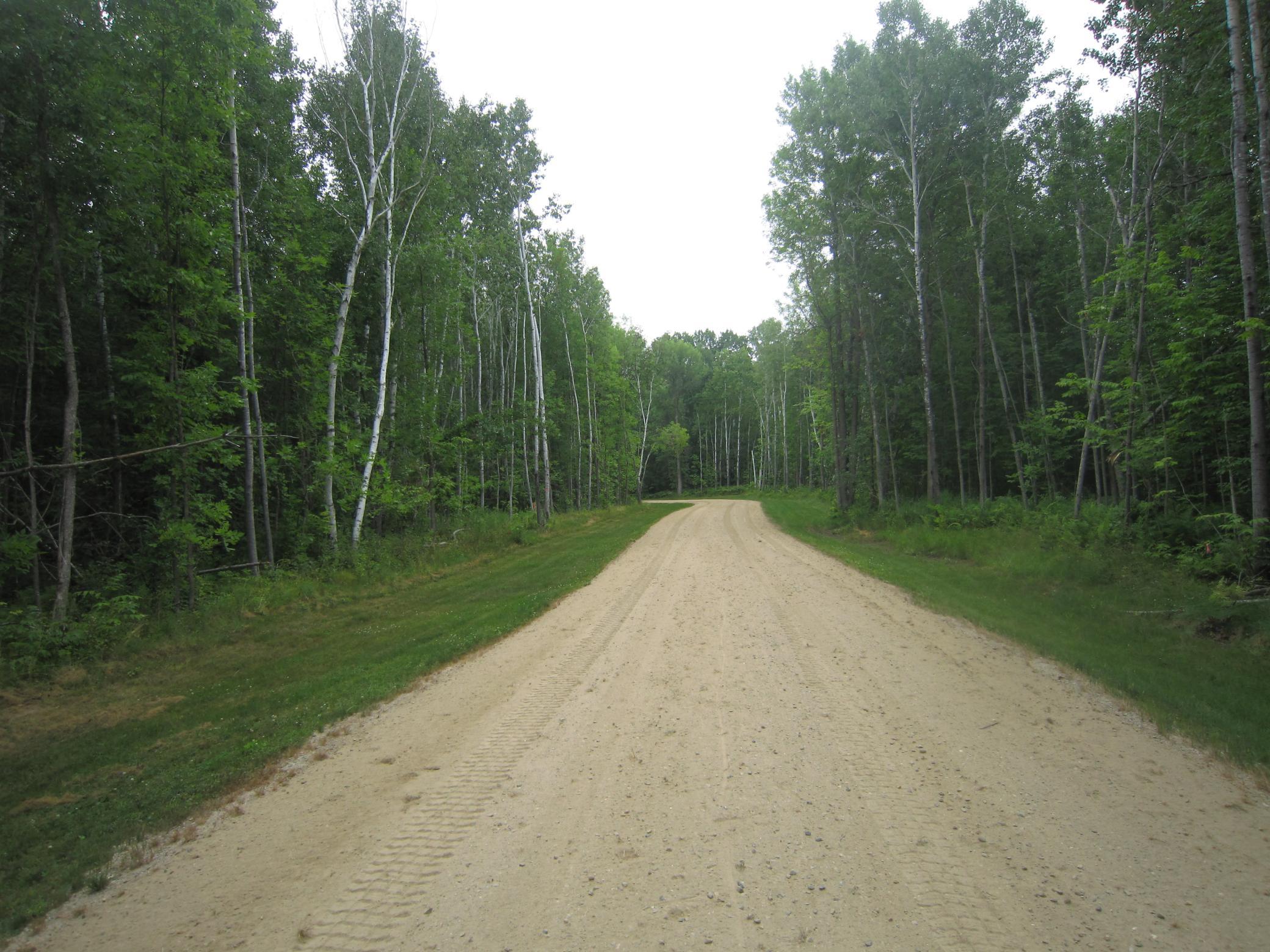land for sale at XXX State Hwy 371 in Laporte, MN (photo 3 of 9)
