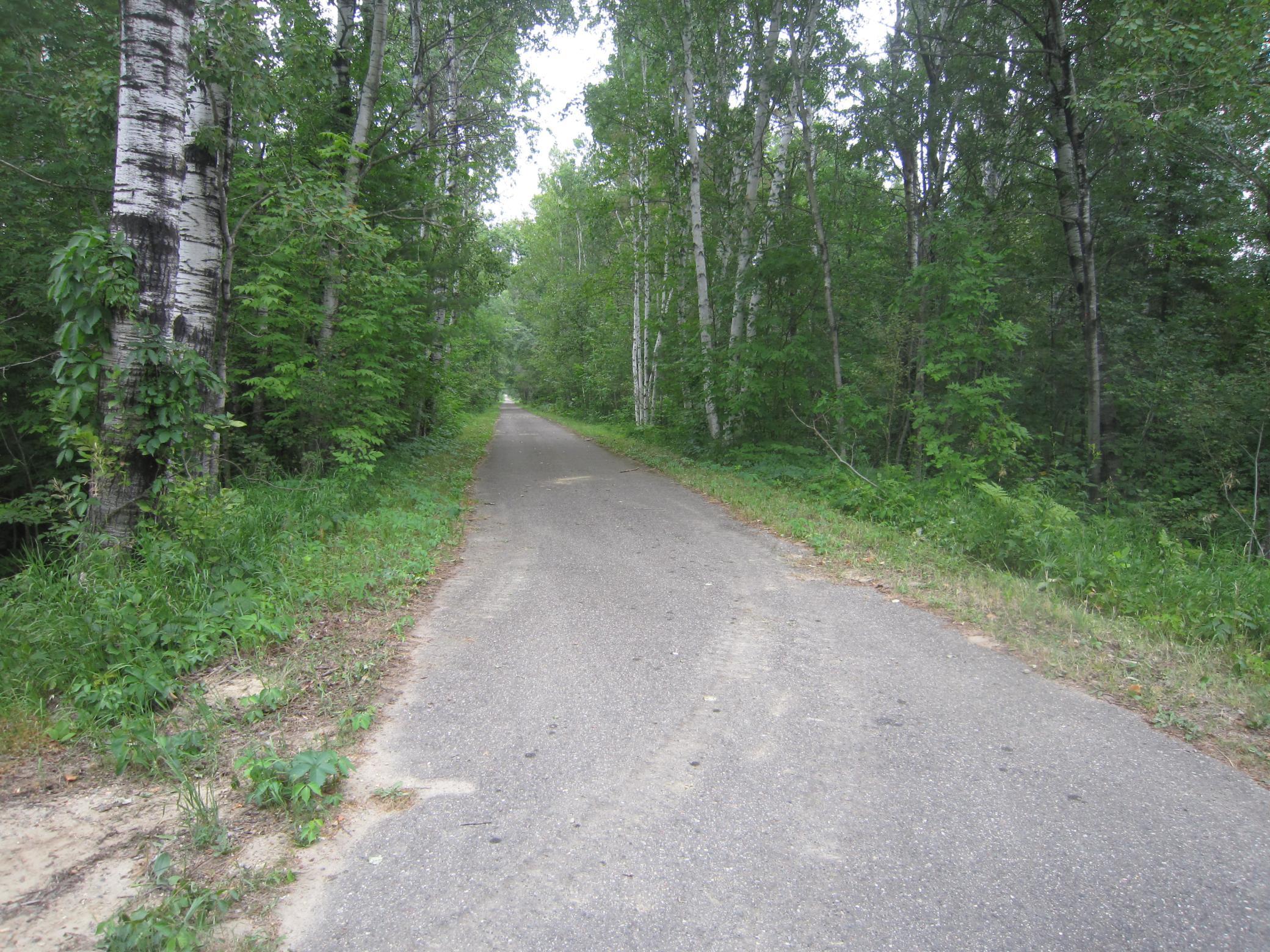 land for sale at XXX State Hwy 371 in Laporte, MN (photo 4 of 9)