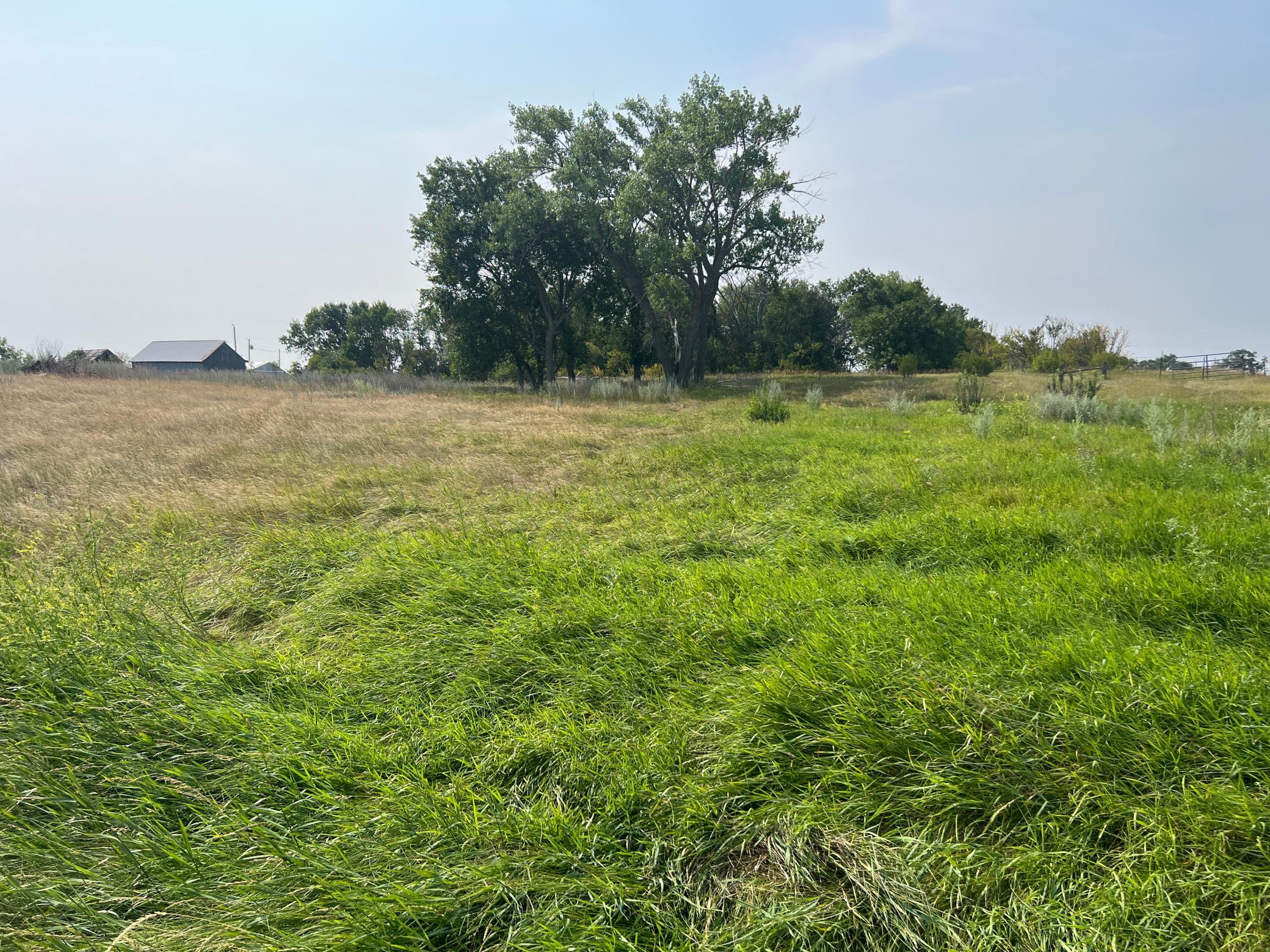 1938 single family home for sale at 10441 County Road 14 in Binford, ND — 4 bed, 1 bath (photo 67 of 94)