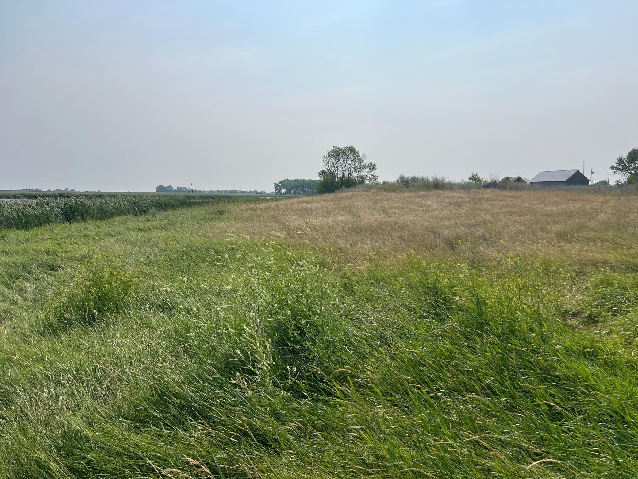 1938 single family home for sale at 10441 County Road 14 in Binford, ND — 4 bed, 1 bath (photo 68 of 94)