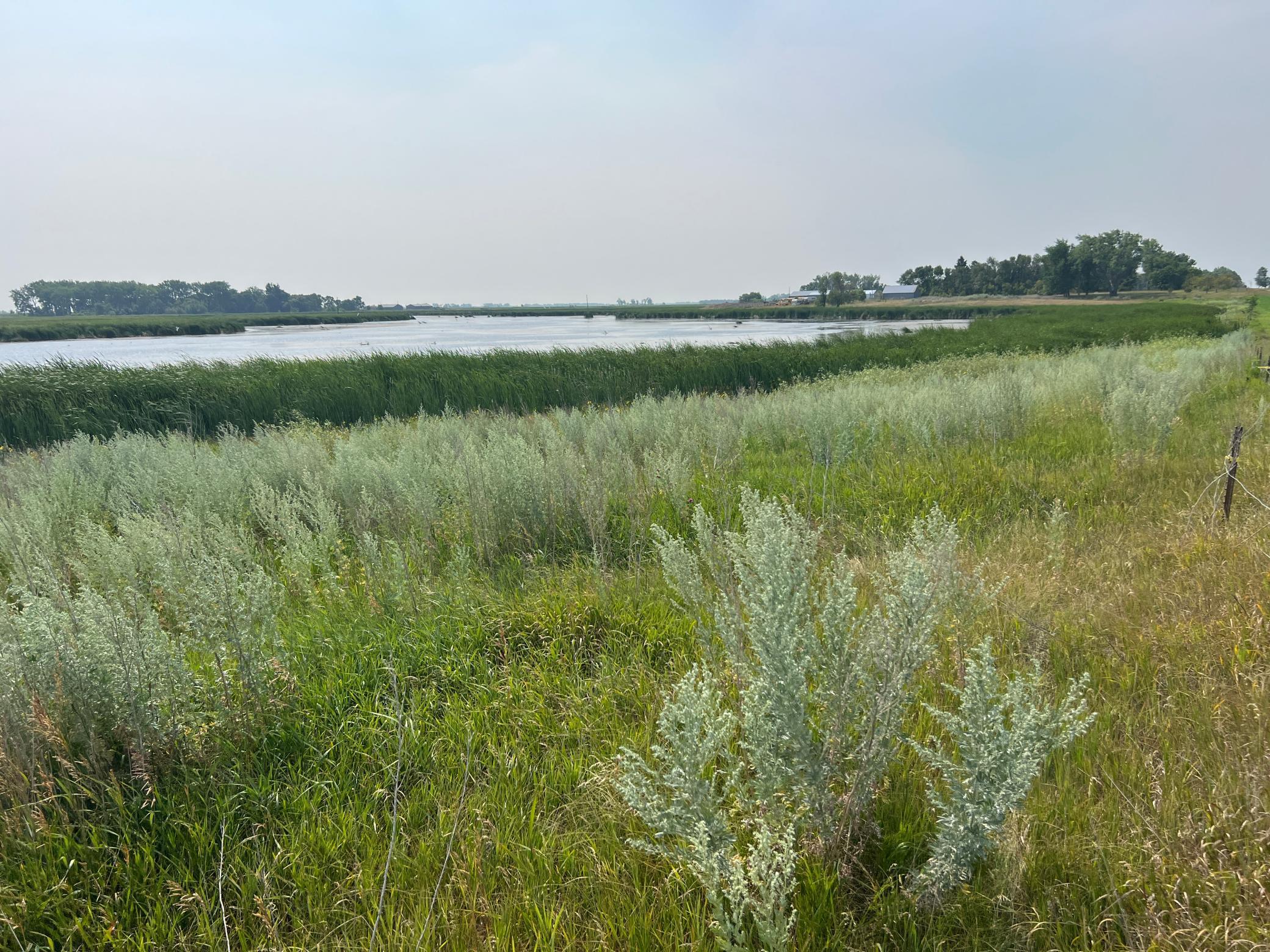 1938 single family home for sale at 10441 County Road 14 in Binford, ND — 4 bed, 1 bath (photo 69 of 94)