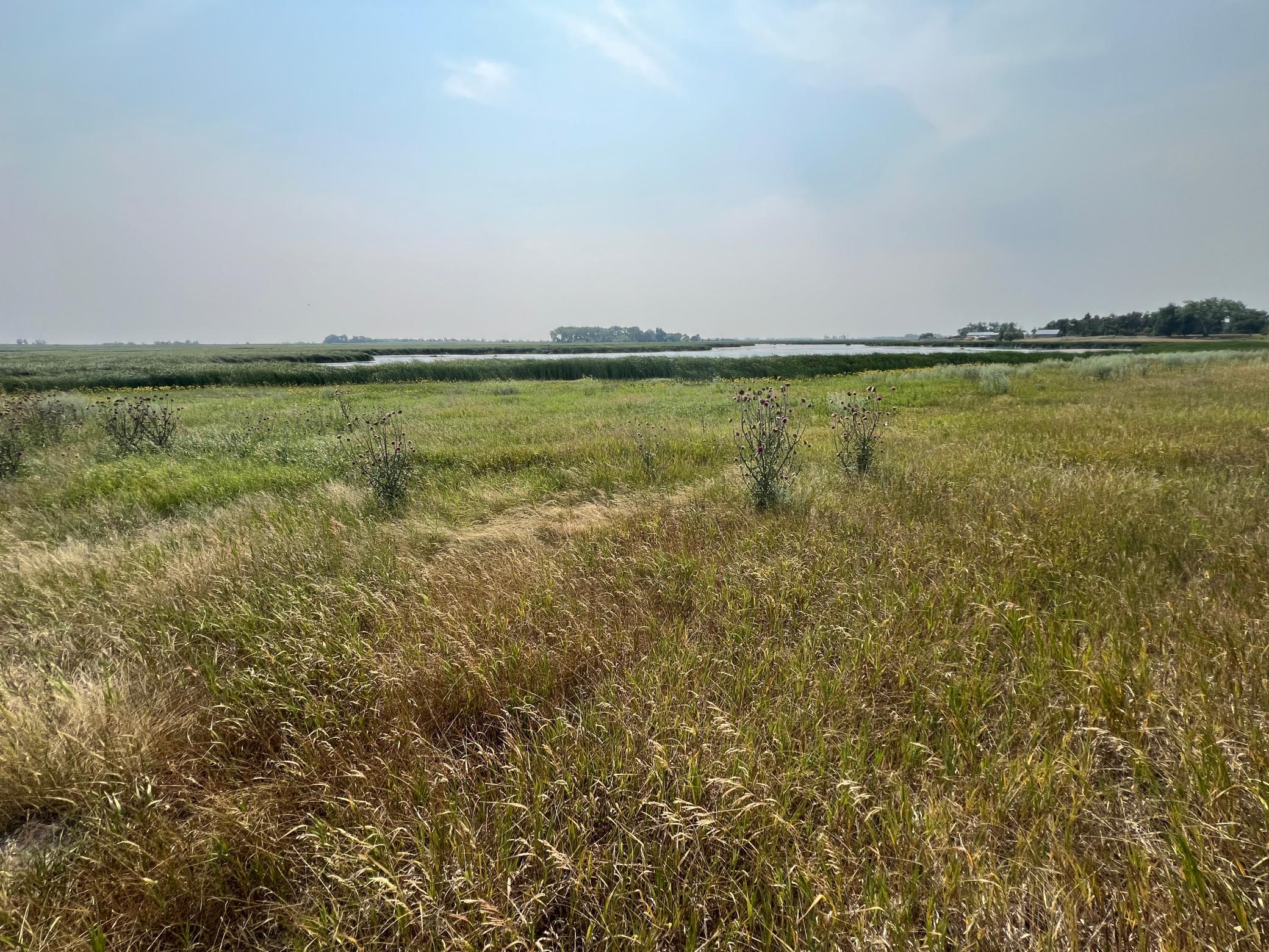 1938 single family home for sale at 10441 County Road 14 in Binford, ND — 4 bed, 1 bath (photo 70 of 94)