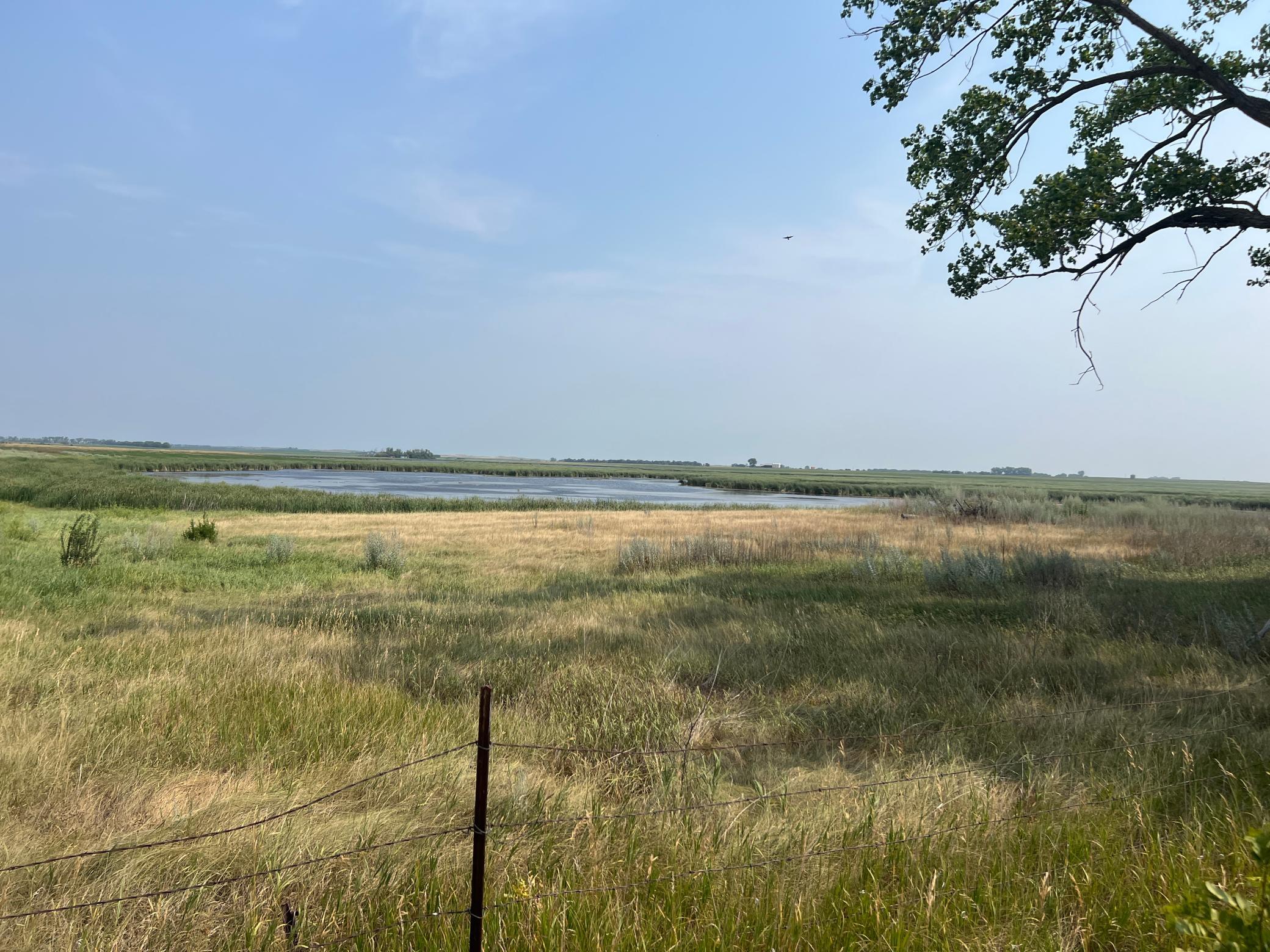 1938 single family home for sale at 10441 County Road 14 in Binford, ND — 4 bed, 1 bath (photo 74 of 94)