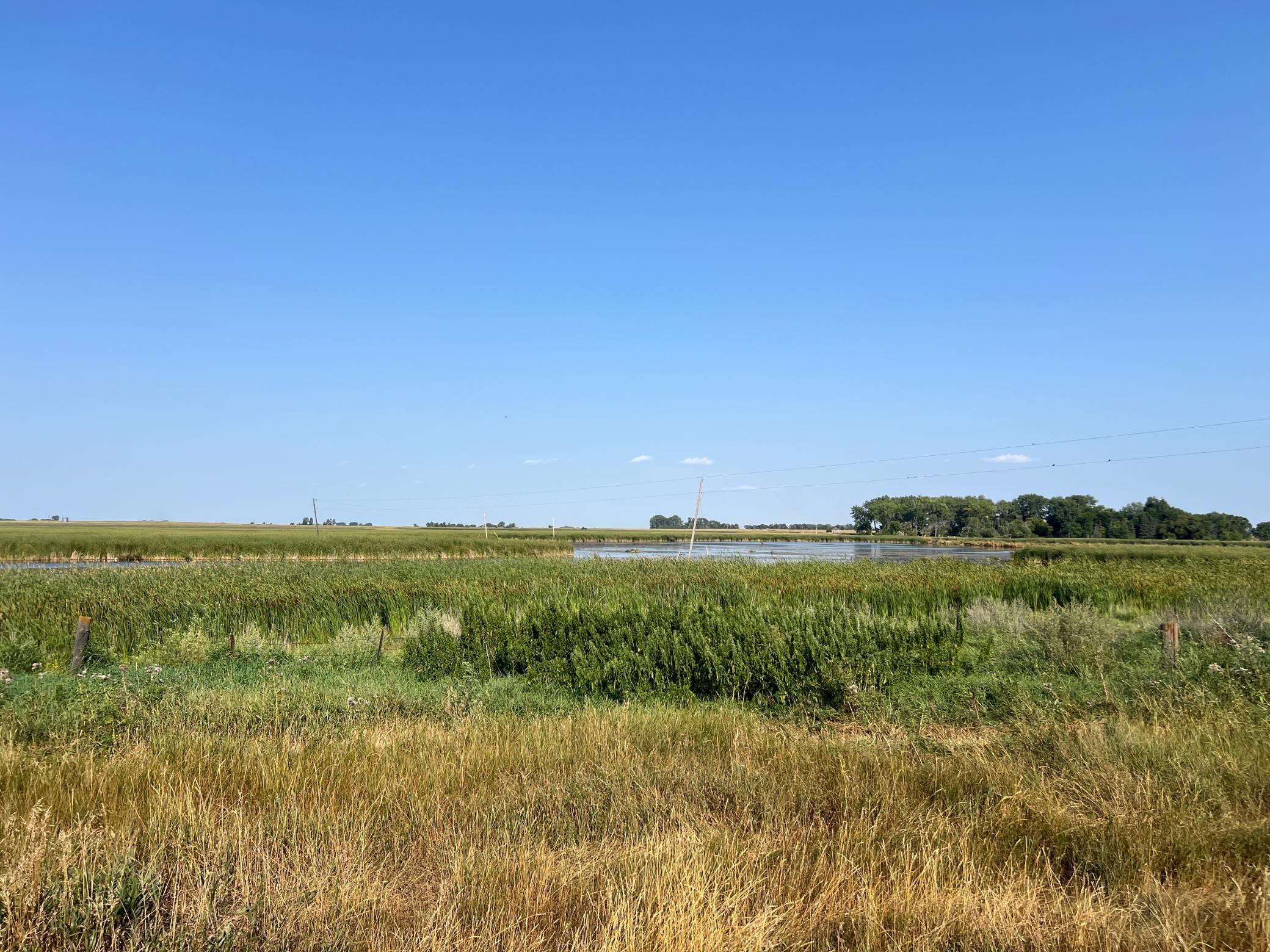1938 single family home for sale at 10441 County Road 14 in Binford, ND — 4 bed, 1 bath (photo 78 of 94)