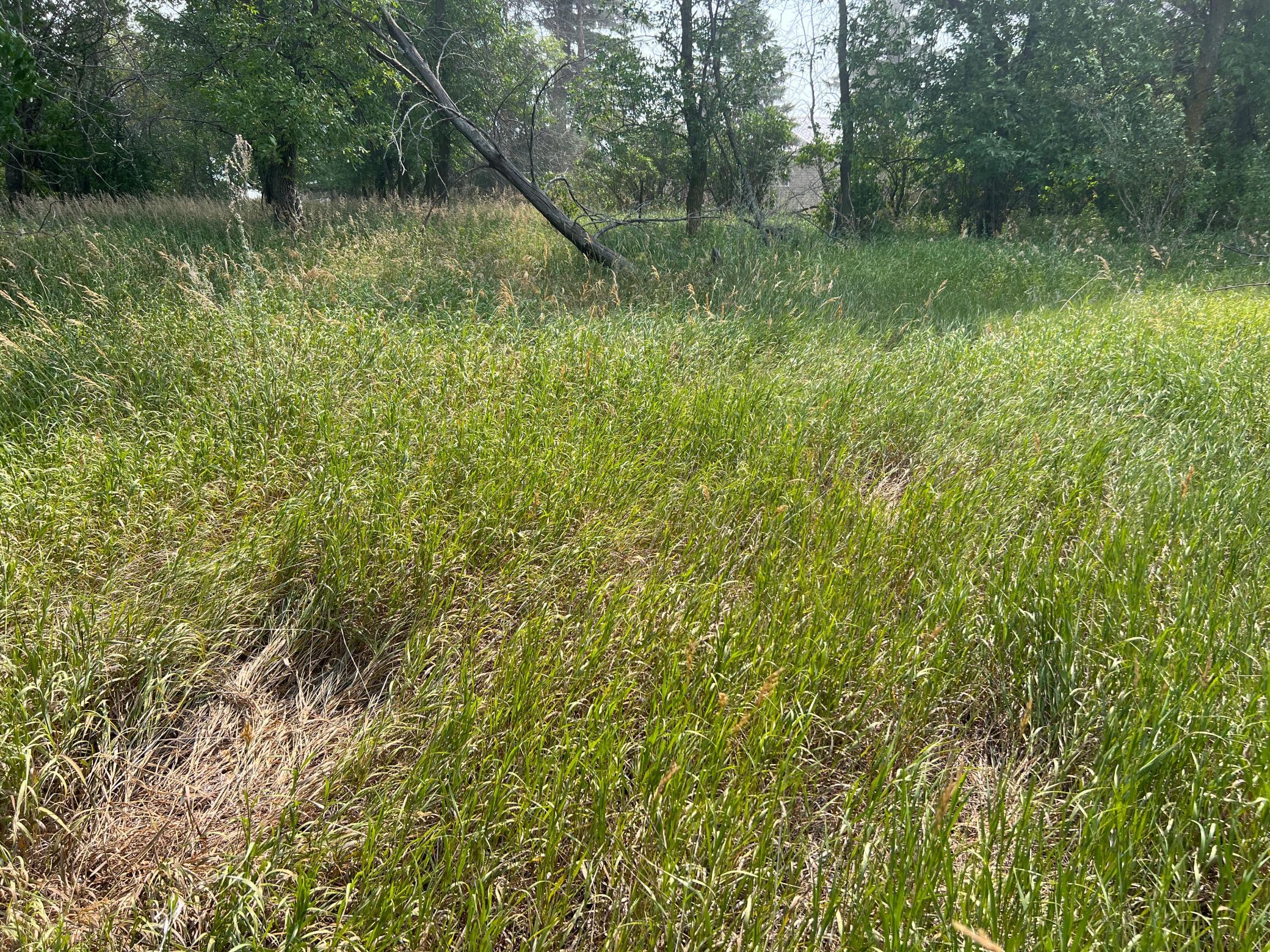 1938 single family home for sale at 10441 County Road 14 in Binford, ND — 4 bed, 1 bath (photo 92 of 94)