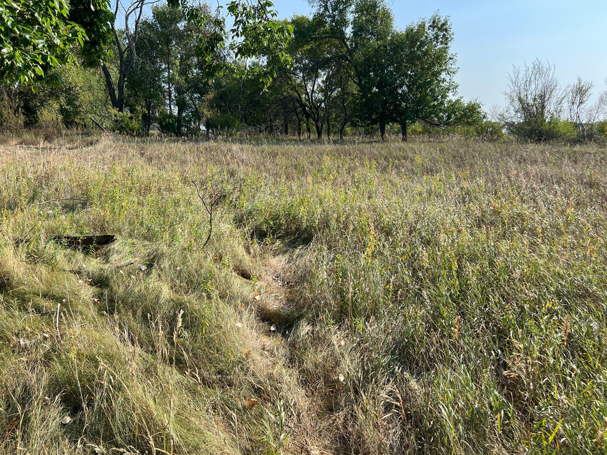 1938 single family home for sale at 10441 County Road 14 in Binford, ND — 4 bed, 1 bath (photo 93 of 94)